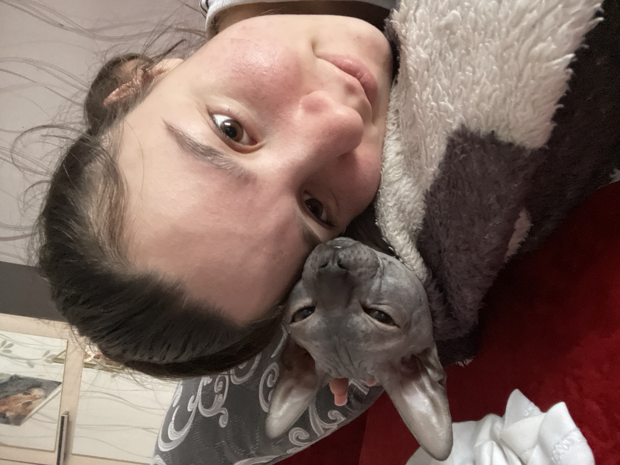 A rotated selfie shows a woman indoors, possibly in a domestic setting. She has fair skin, brown hair pulled back in a bun, and brown eyes. A hairless cat, likely a Sphynx, is nestled against her neck and shoulder, its head positioned near the woman's cheek. The cat is gray with large, pointed ears and a wrinkled face. A gray and white blanket or garment is draped over the woman and cat. A blurred object that appears to be a photo or picture frame is visible in the background, along with what appears to be furniture. There is no visual confirmation of the location in the city of Ольховка, Russia.