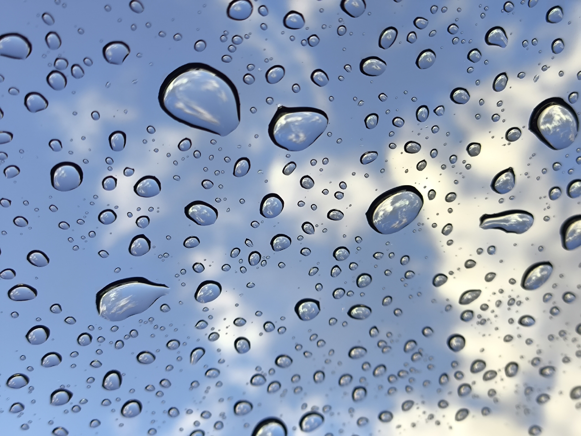 The image is a close-up, low-angle photograph of raindrops on a glass surface, likely a window. The raindrops are of various sizes and shapes, distorting the view of the cloudy sky and blue sky behind them. The reflections within the raindrops show portions of clouds and patches of blue sky. The overall impression is one of a rainy day. The image does not contain any information about the city of Kaliningrad, Russia, nor does it depict people, actions, or interactions. The scene is static and focused solely on the texture and visual effects of the water droplets.