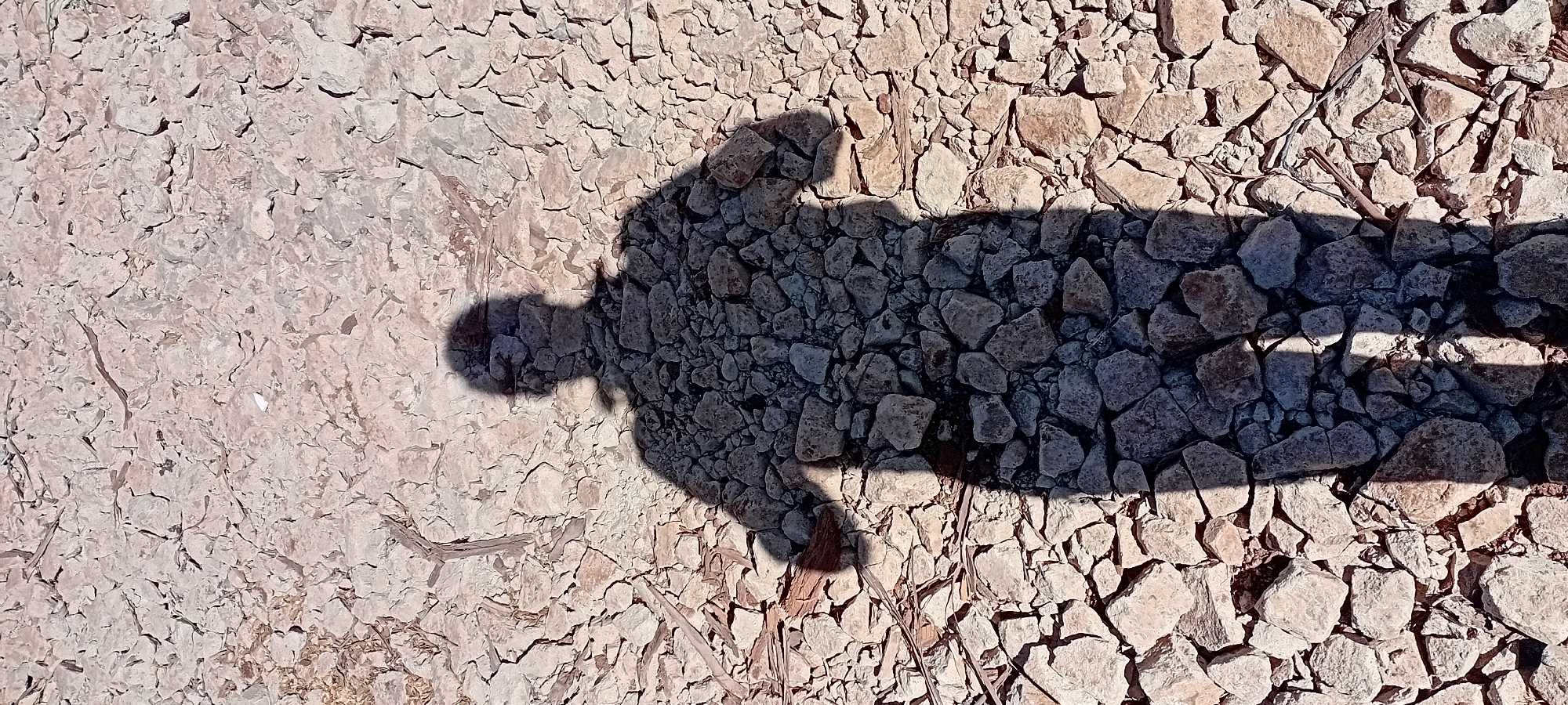The image displays a shadow of a person cast upon a ground covered with small, rough, light-colored rocks and pebbles. The shadow occupies the central and lower portions of the frame, obscuring the rocky surface beneath it. The texture of the ground is uneven, with visible cracks and some sparse, dried organic material. The lighting suggests a sunny environment, casting a distinct shadow. The location is Kijabe ward, Kenya.
