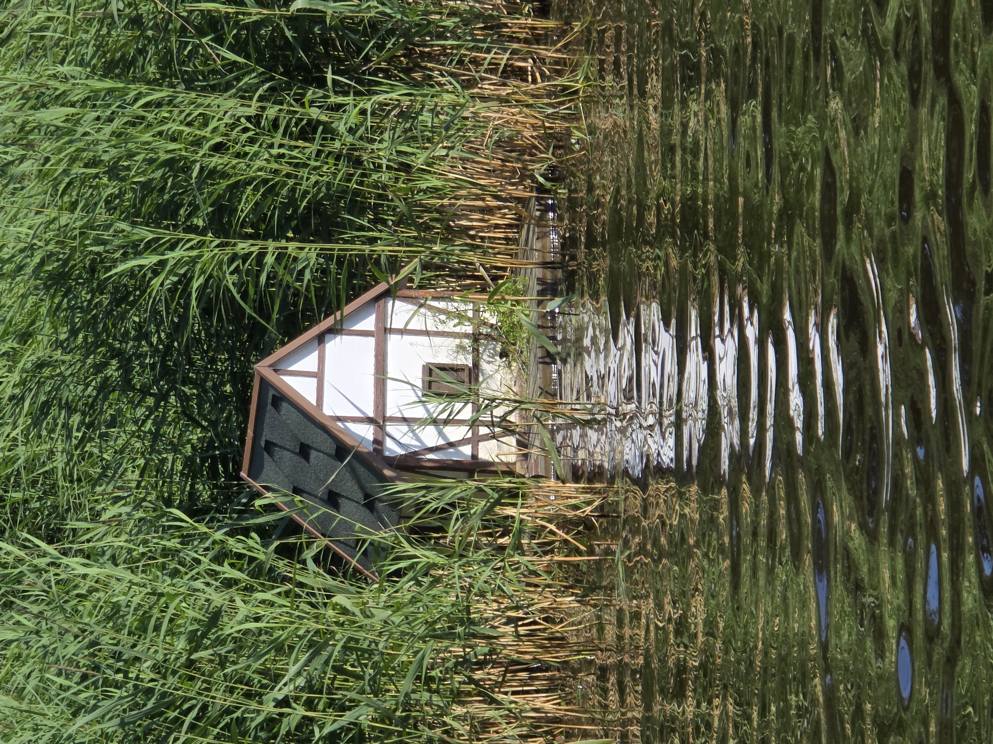 The image shows a miniature half-timbered house with a dark green roof and white walls, situated on a wooden platform floating on water. The house is partially obscured by tall, green reeds that line the water's edge. The water's surface is rippled, reflecting the reeds and the sky. The scene appears to be set in a natural environment, possibly a lake or pond, with dense vegetation. There are no people or animals visible in the image. The overall impression is one of a quaint, secluded dwelling. No information about the location in Svetlogorsk, Russia is provided in the image.