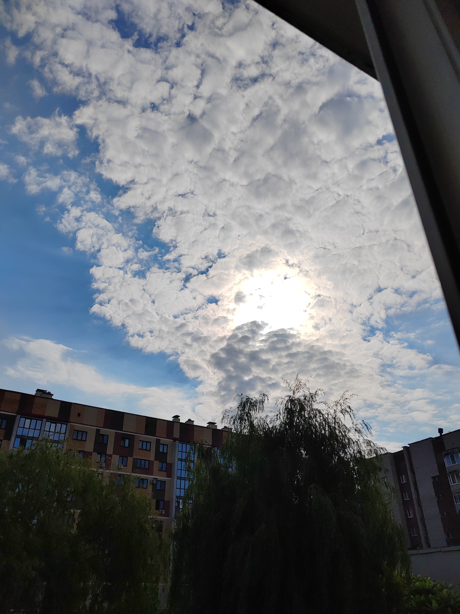 The image captures a view of the sky and buildings in the city of Brest, Belarus, as seen from a window. The sky is a vibrant blue, partially obscured by fluffy white clouds. The sun is shining brightly, peeking through a dense cluster of clouds, creating a radiant halo effect. In the foreground, a large, dark green weeping willow tree stands prominently, its branches reaching upwards. Behind the tree, a multi-story apartment building is visible. The building features a facade with horizontal stripes of varying colors, including brown, beige, and dark red. Numerous windows are visible on the building's exterior, reflecting the blue sky and white clouds. To the right of the willow tree and apartment building, another, less detailed building is partially visible. The overall scene suggests a partly cloudy day in a residential area of Brest.
