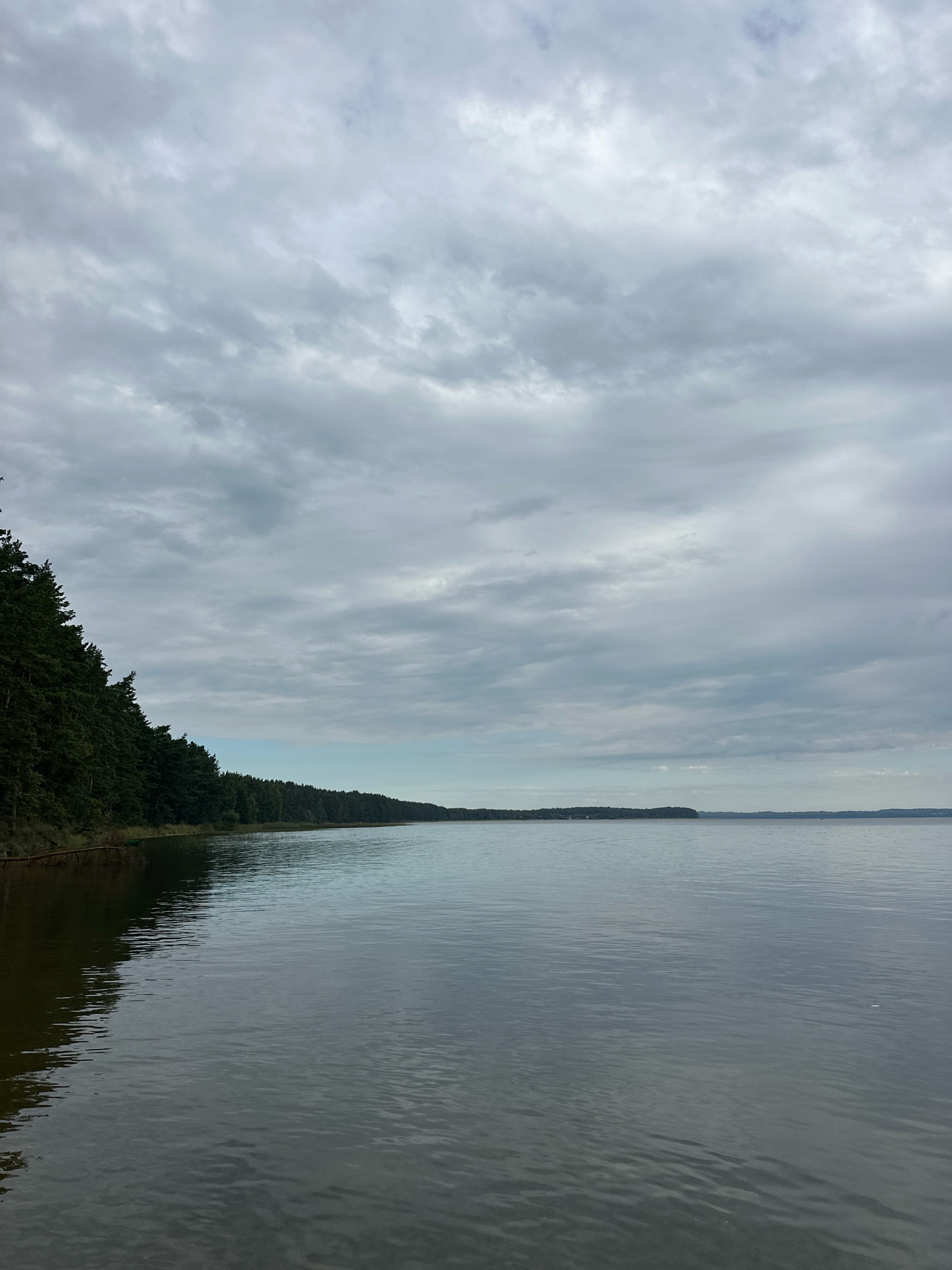 The image depicts a serene, natural landscape bordering a large body of water, likely a lake, under an overcast sky. The left side of the frame is dominated by a dense, dark green forest line that extends along the edge of the water. The trees are tall and packed closely together, with their reflections visible in the calm water near the shore. The water itself is a deep, muted gray, reflecting the cloudy sky and the dark treeline, with gentle ripples disturbing the surface. The horizon line is relatively low, showing the expanse of the water stretching out to meet a pale, hazy sky filled with layered gray clouds. In the distance, along the far horizon, a faint line of trees or land is visible. The overall impression is one of tranquility and natural beauty, with a subdued color palette due to the cloudy weather. This scene is located in the Нарацкі сельскі Савет, Belarus, known for its extensive natural areas and lakes, such as Lake Naroch.