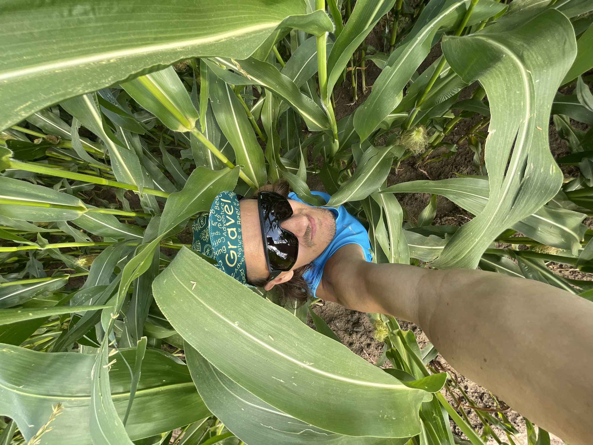 A high-angle, eye-level selfie shows a person in a bright blue tank top and a green bandana with the word "Gravel" prominently displayed. The person is wearing dark sunglasses and has medium-length brown hair. They are positioned within a dense field of tall green corn stalks, with large leaves partially obscuring their face and upper body. The background consists of more corn plants and dark soil. The lighting suggests it is daytime. The image was taken in Perevoznoe, Russia.