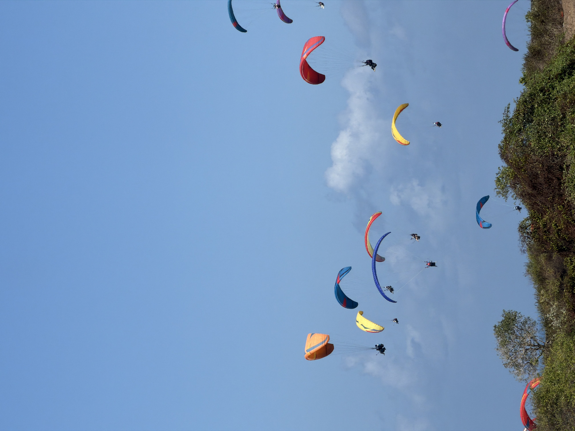 A group of paragliders are seen in mid-air against a clear blue sky. The paragliders are of various colors, including orange, yellow, blue, red, and purple. Some of them have a person visible underneath the parachute, indicating they are actively paragliding. The scene appears to be taking place outdoors, likely in a location with open skies suitable for paragliding. Given the context of Kuta Selatan, Indonesia, this image could depict a paragliding activity at a popular tourist spot known for such recreational activities. The lower part of the image shows a green, bushy landscape, possibly a cliffside or hillside, with some trees. The paragliders are spread across the frame, with some closer to the foreground and others further in the distance, creating a sense of depth. The lighting suggests it is daytime, with the sun illuminating the paragliders and the landscape.