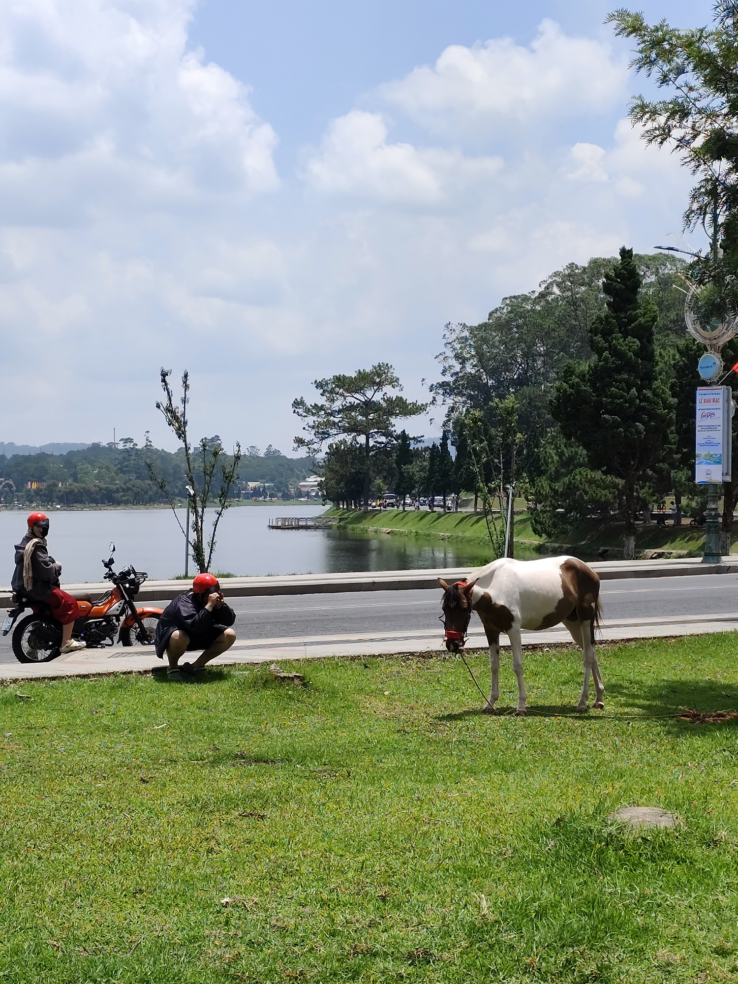 The image depicts a scene in Da Lat, Vietnam, along the roadside of Xuan Huong Lake. In the foreground, a brown and white pony stands on a grassy lawn, tethered by a rope. To the left, two people wearing red helmets are present. One person sits on a parked orange motorcycle, while the other is crouched down, seemingly taking a photograph. A paved road runs between the lawn and the lake. Across the lake, there are trees and distant buildings. The sky is blue with scattered clouds. A lamppost with an advertising banner stands near the pony.