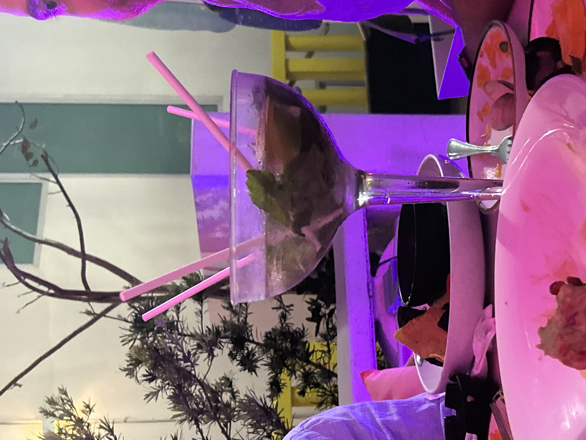 The image captures a lively, close-up scene of a table at night, rotated 90 degrees counter-clockwise, suggesting a relaxed outdoor or semi-outdoor dining or bar setting in Miami Beach, USA. The environment is heavily influenced by vibrant artificial purple and pink lighting, which casts distinct hues across all visible subjects.
In the center, a large, empty cocktail glass, possibly from a margarita given the remnants of lime and mint, lies on its side with two bright pink straws protruding from it. The table is laden with dirty dishes, including stacks of white plates showing food residue like guacamole or salsa, and fragments of tortilla chips. A silver fork is resting on one of the plates, and a dark cup is also visible among the clutter.
The background features sparse, dark branches and foliage of a tree or bush, set against a light-colored wall or building. A hint of a yellow structure, possibly a chair, is discernible further back. Portions of people are visible at the edges of the frame: a shoulder or arm illuminated by purple light in the top left, and another person's head or shoulder in the top right.
The scene conveys the aftermath of a social gathering or meal, with the remnants of drinks and food left on the table. The predominant artificial lighting indicates a nighttime event, contributing to a festive and energetic ambiance. There is no visible text in the image.
