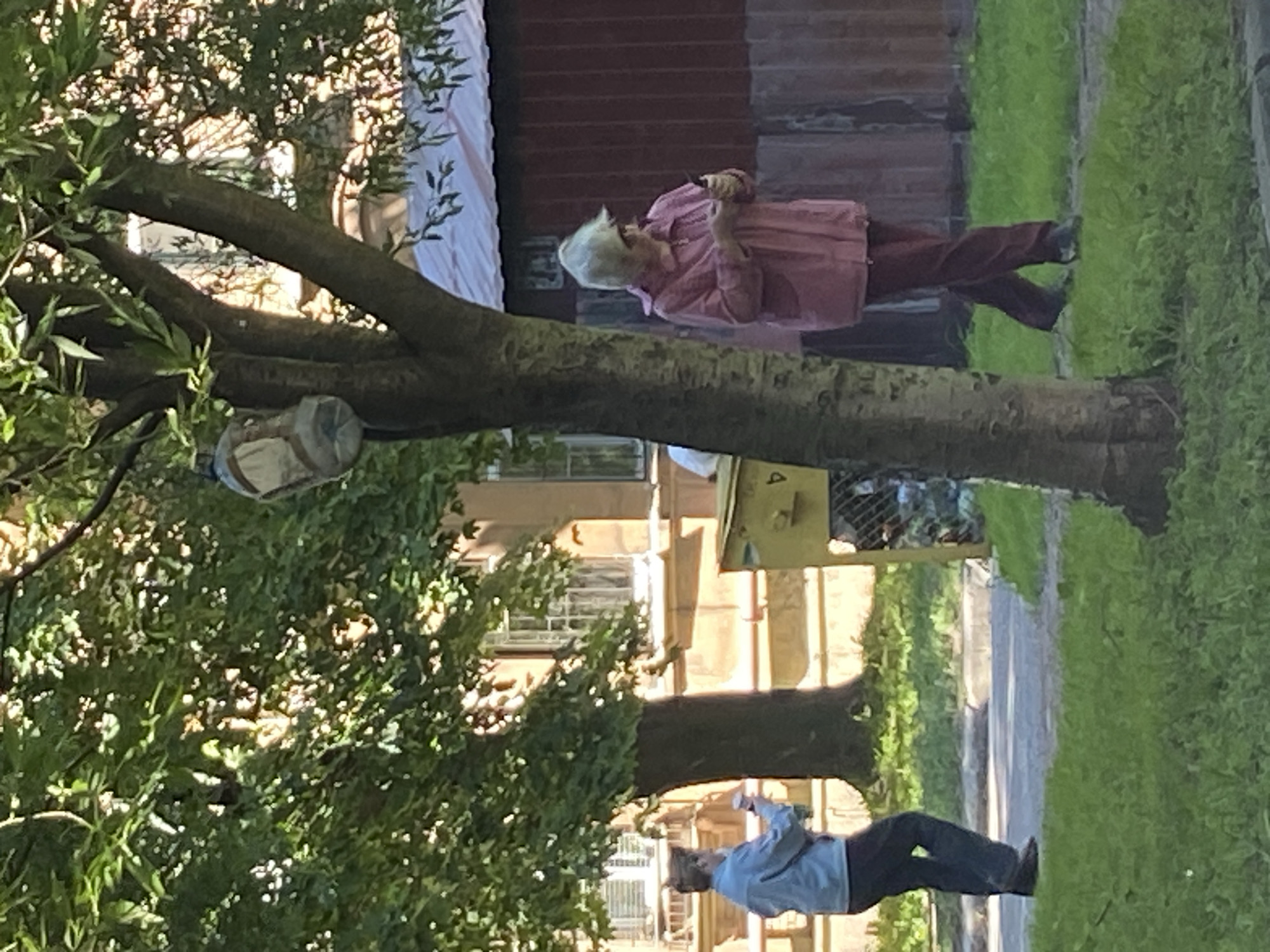 The image depicts an outdoor scene in Saint Petersburg, Russia, likely during the daytime given the bright sunlight casting shadows. Two individuals are visible, both appearing to be adults.
In the upper portion of the frame, a person with white hair is seen from the side, wearing a pink shirt and dark pants. They are standing and appear to be holding something in their hands near their chest, with their head tilted downwards.
Lower in the frame, another individual is partially visible, wearing a light blue shirt and dark pants. They are positioned at an angle, with their body bent as if engaged in an activity or resting. Their hands are not clearly discernible.
The setting includes a large tree with substantial branches in the foreground, its trunk prominently featured. Behind the tree, there's a building with multiple windows and an adjacent structure with a reddish-brown, possibly metal, facade. A grassy area runs alongside a pathway in the background, bordered by greenery. Yellow and white objects, possibly part of street furniture or temporary structures, are also visible. The overall impression is a public outdoor space, perhaps a park or the grounds of a building. The lighting suggests a sunny day.
