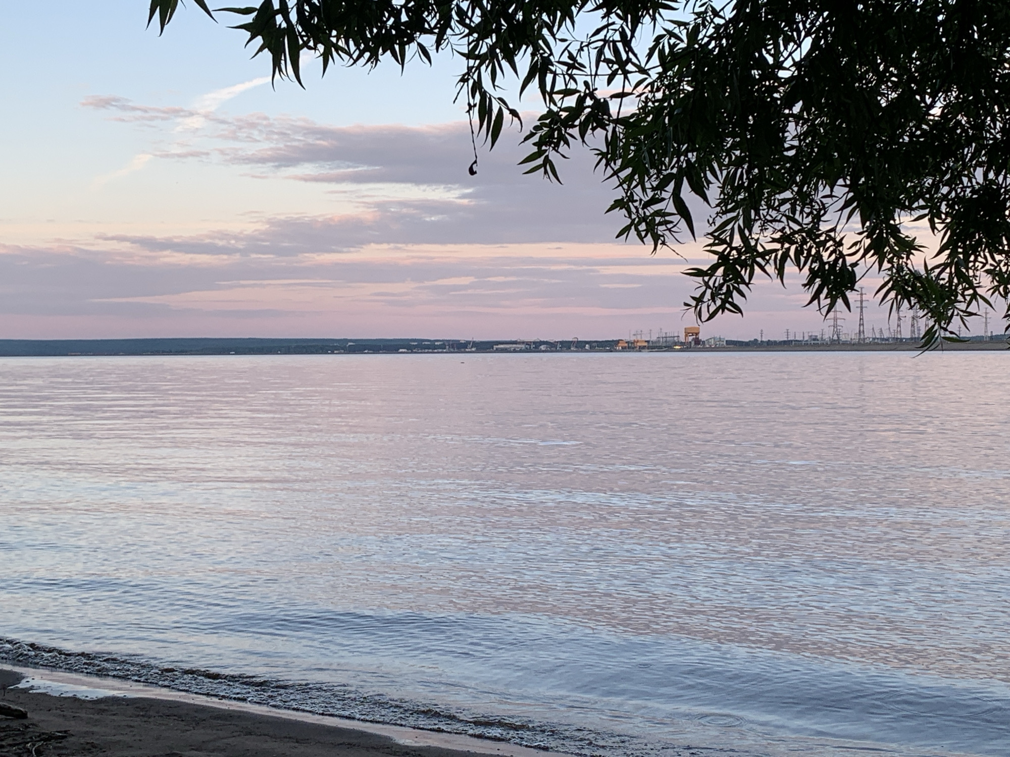 The image presents a tranquil waterscape captured during either sunrise or sunset, characterized by soft, pastel hues. In the foreground, a dark strip of sandy or muddy shoreline gently slopes into a wide body of water, likely a river or lake. The water's surface is calm with gentle ripples, reflecting the subtle pinks, purples, and light blues of the sky.
Across the water, a distant landmass forms the horizon. On this far shore, industrial elements are visible, including numerous power transmission towers and lines stretching horizontally, and a prominent structure with a yellow top, possibly a crane or part of a larger industrial facility, on the left.
The sky above displays a delicate blend of light blue, pink, and purple, with scattered, thin clouds. A faint, linear cloud formation, possibly a contrail, is visible in the upper left quadrant. Dark green foliage, likely from a tree, overhangs the top and upper right portions of the frame, creating a natural border and silhouetted against the bright sky. The leaves are slender and elongated.
The scene conveys a sense of peacefulness, with the natural beauty of the calm water and colorful sky contrasting with the distant man-made structures. No people or visible text are present. The soft lighting indicates early morning or late evening, and the water appears calm, suggesting mild weather conditions. The location context provided is Noviy, Russia.