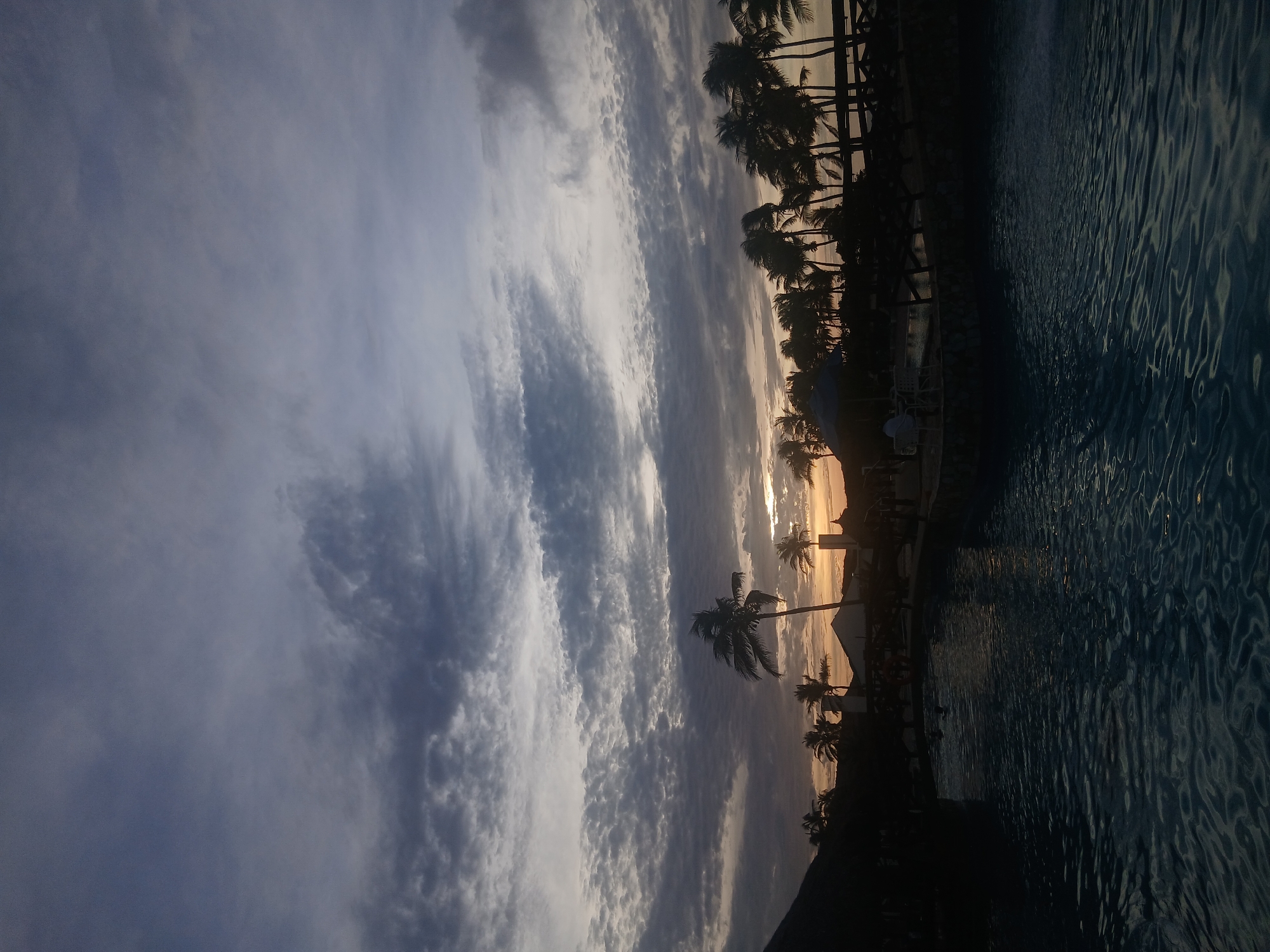 The image shows a landscape at sunset. On the right side of the image, there is a body of water, likely a pool or ocean, with noticeable surface ripples. Along the edge of the water, palm trees and other vegetation are silhouetted against the setting sun, creating a dark contrast. The sky is filled with clouds, with visible sunlight filtering through them.
While the exact location within Altagracia, Venezuela, cannot be definitively determined without additional information, the presence of palm trees and a body of water indicates a tropical or coastal setting, fitting with the geographical characteristics of Altagracia. There is no information about people, actions, interactions or objects.