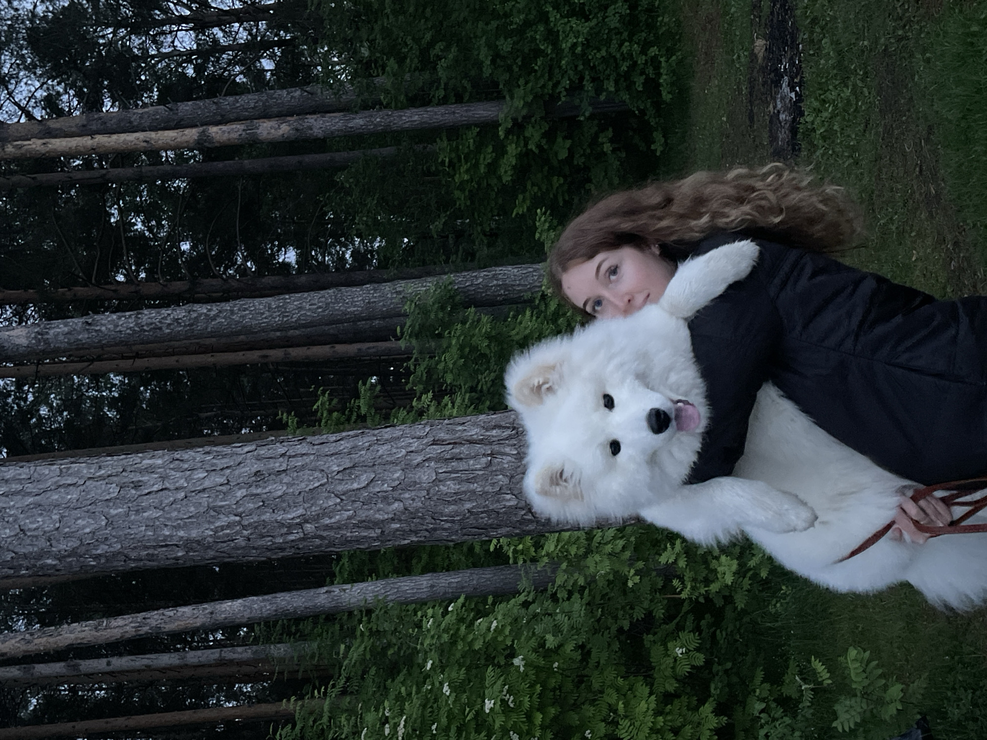 A young woman with curly hair hugs a large, white Samoyed dog in an outdoor setting. The woman wears a black jacket. The dog is panting with its tongue slightly visible. Background elements include a stack of logs and green vegetation, suggesting a wooded area. The location is Unknown, Unknown.