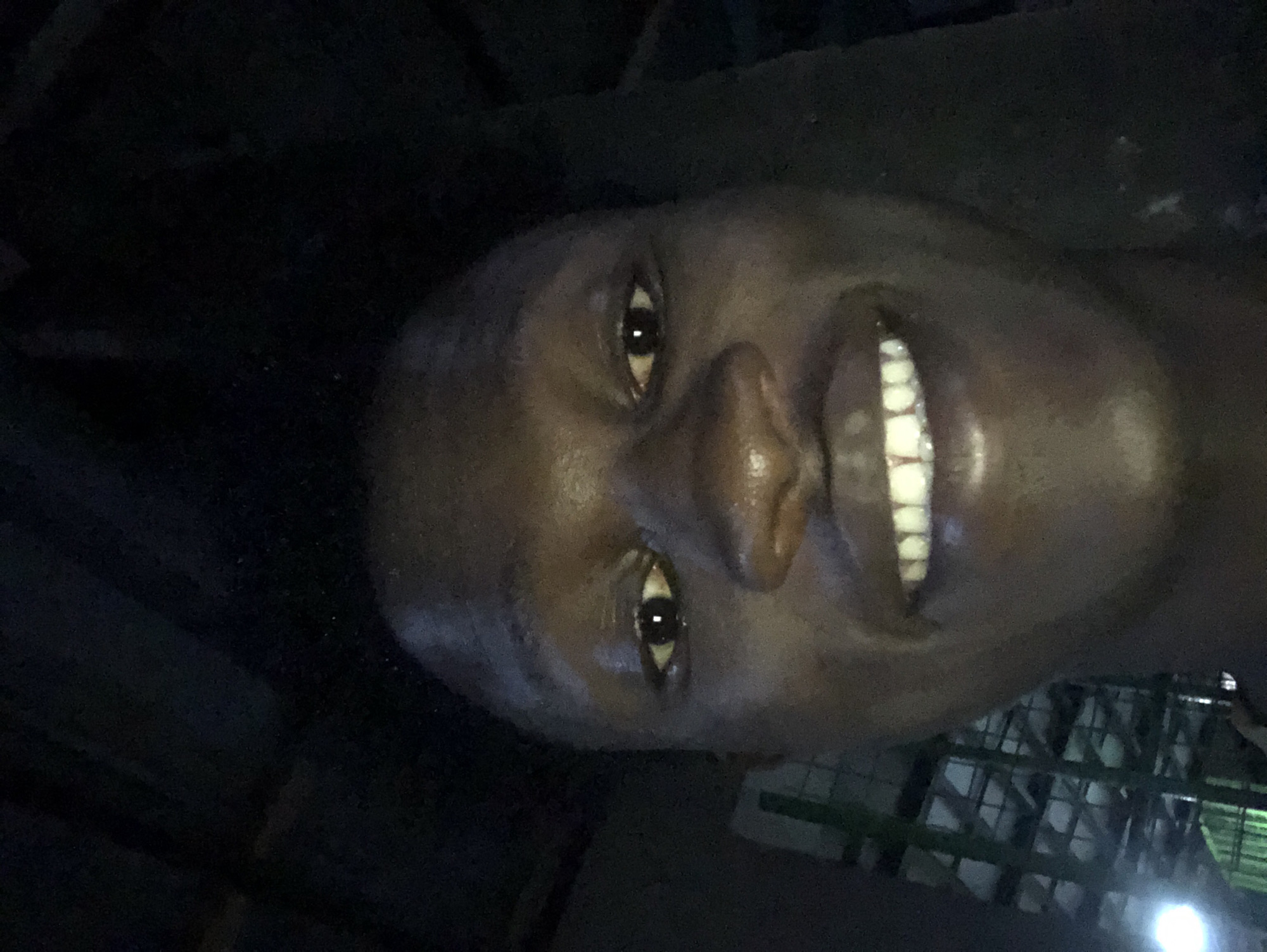 The image is a close-up selfie of a young Black man's face, taken from a low angle. He has dark skin and short, dark hair that appears slightly unkempt. He is smiling, revealing a row of white teeth. His eyes are open, and the lighting in the image is dim, with some highlights on his forehead and cheeks, suggesting he is indoors in a dimly lit environment. In the background, there appears to be some sort of structure with a grid-like pattern and a bright light source on the left side, possibly an industrial or warehouse setting. The overall impression is that of a candid, informal portrait. The image is tagged as being taken in Ado, Nigeria.