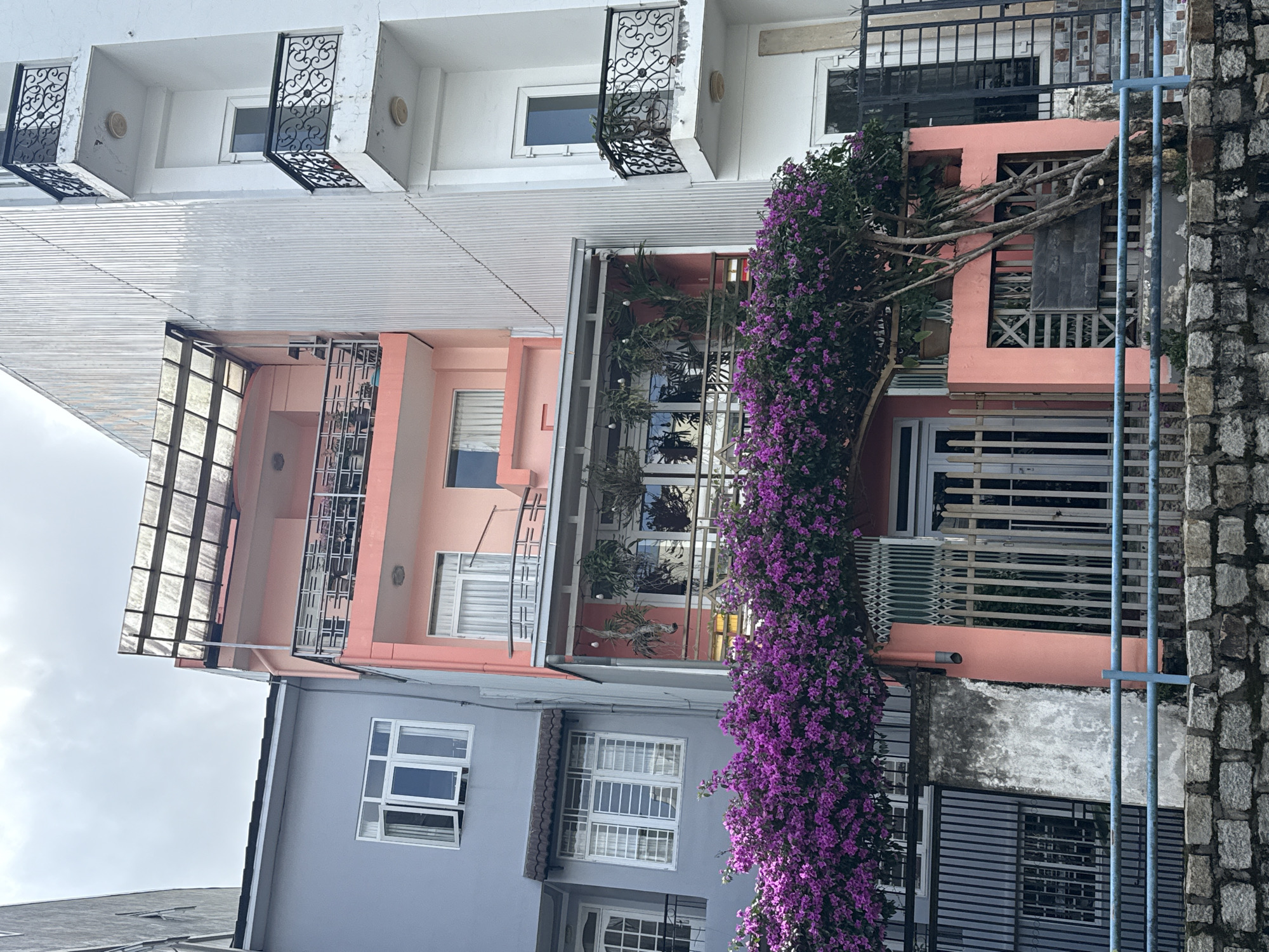 The image captures a vibrant street scene in Da Lat, Vietnam, dominated by several multi-story buildings and a profusion of purple bougainvillea flowers under an overcast sky.
In the upper part of the frame, a white building presents a clean facade with small, ornamental wrought-iron balconies projecting from its windows. Below it, a light pink building stretches across the middle, featuring multiple windows and a corrugated metal roof or canopy extending outwards. One section of this building has a glass-enclosed space, visible through which are green plants.
A prominent feature is a large, cascading bougainvillea vine adorned with abundant, bright purple flowers, which descends along the right side of the buildings. Its thick, gnarled branches are noticeable against the building walls.
Towards the lower left and center, a light blue-grey building is visible, also fitted with various windows, some protected by white grilles. On the far right, a textured stone wall provides a rugged contrast, separated from the buildings by blue metal railings.
The scene appears to be captured during the daytime under diffused light, indicating an overcast day. No people or specific activities are visible. The image conveys a bustling urban atmosphere characteristic of Da Lat, with the colorful flowers adding a lively touch to the architectural landscape. There is no visible text.