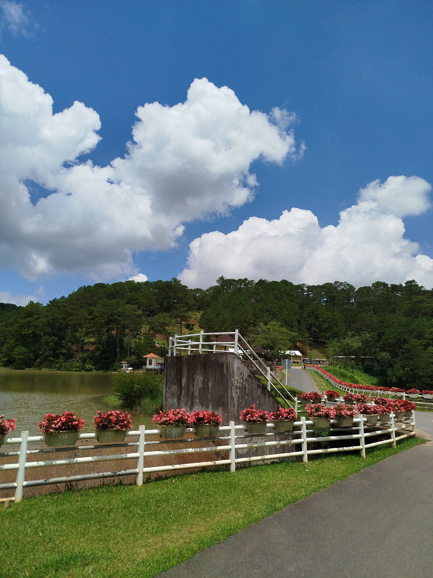 The image depicts a scenic view of a park in Lam Vien - Da Lat, Vietnam, featuring a paved pathway alongside a body of water, possibly a lake or reservoir, with a lush green forest-covered hill in the background. A white fence, adorned with numerous potted pink flowers, runs parallel to the pathway and the water's edge, creating an aesthetically pleasing barrier. The sky above is a vibrant blue, dotted with large, fluffy white clouds. A small structure, possibly a pavilion or shelter, is visible amidst the trees on the hillside, along with a few other buildings. A bridge-like structure with stairs extends from a concrete embankment, also featuring the same white fence and flower arrangements. The scene is serene and well-maintained, suggesting it is a popular tourist destination.