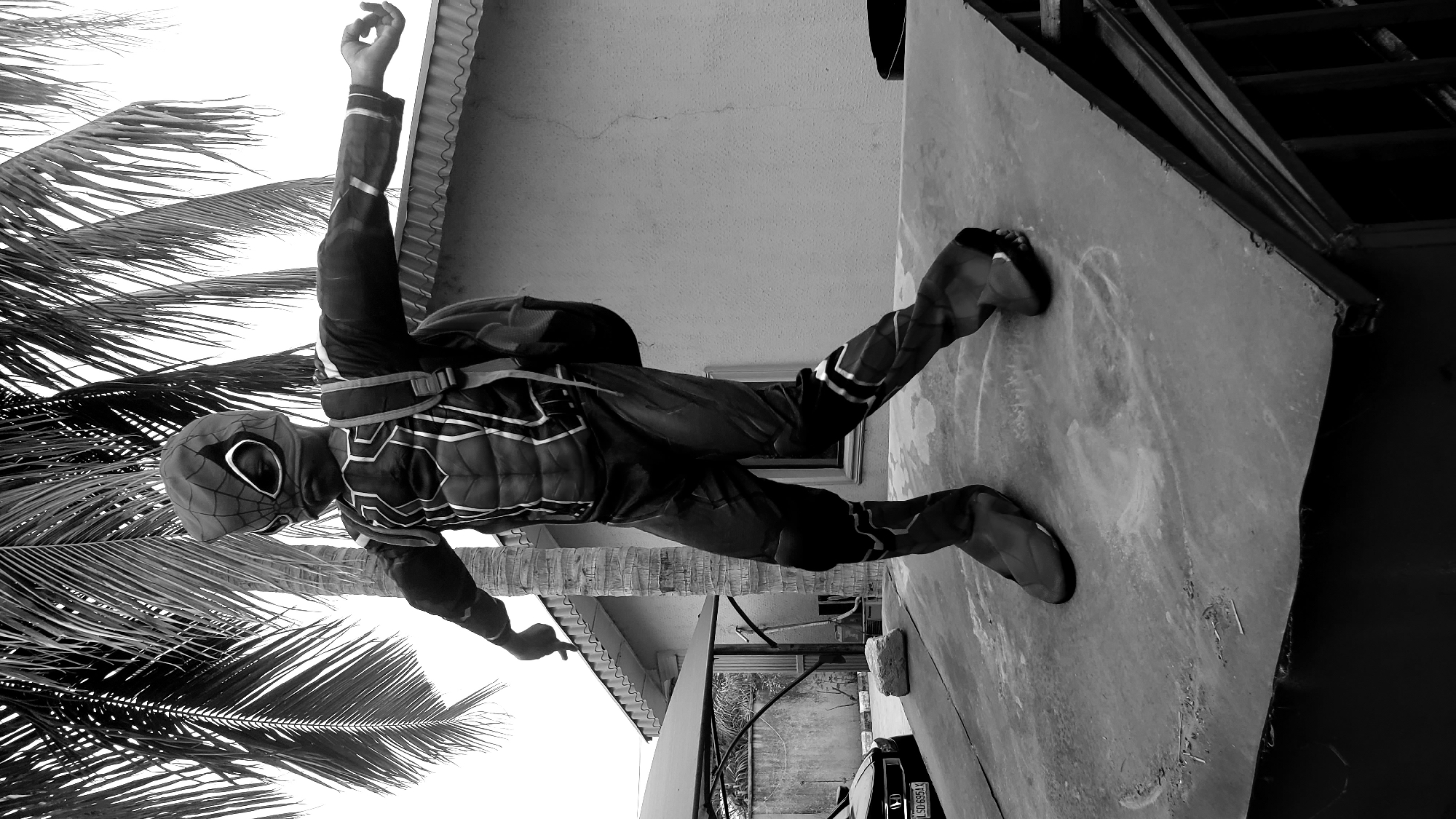 A person wearing a Spider-Man costume is standing on the edge of a building or platform. One hand is raised towards palm tree branches and the other is reaching downward. The person is wearing a backpack. The photograph was taken in Sabon Tasha, Nigeria. A building facade is behind the person and a car is visible below.