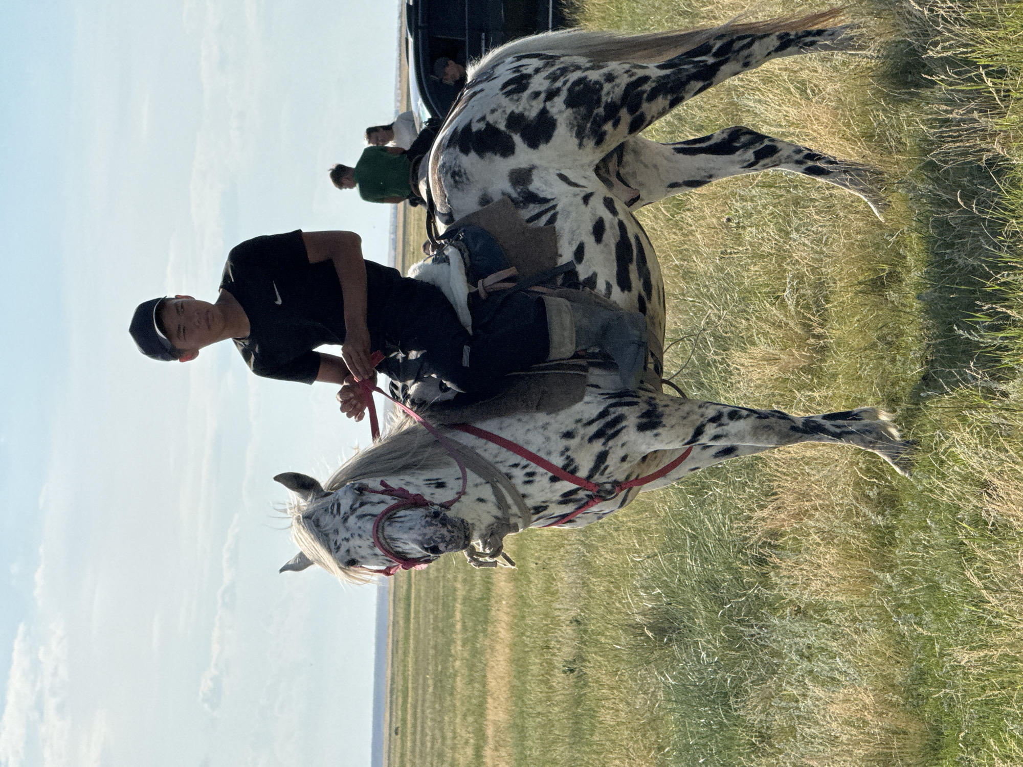 The image depicts a young person, likely a teenager, riding an appaloosa horse. The rider, wearing a black t-shirt and a dark baseball cap, is positioned on the horse's back, holding the reins. The horse is striking with its distinctive white coat and black spots. Strapped to the horse are bags, suggesting a journey or excursion.
In the background, other individuals can be seen, some appearing to be standing near a dark vehicle. One person is wearing a green shirt, and another a white shirt. This suggests a group activity or travel. The setting is an open, grassy field under a bright, clear sky with some scattered clouds. The lighting suggests it is daytime, possibly late afternoon or early evening, given the warm glow on the grass.
The overall atmosphere appears casual and adventurous. The location context provided is Өндіріс, Kazakhstan, which is consistent with the open, steppe-like landscape shown. There is no visible text in the image.