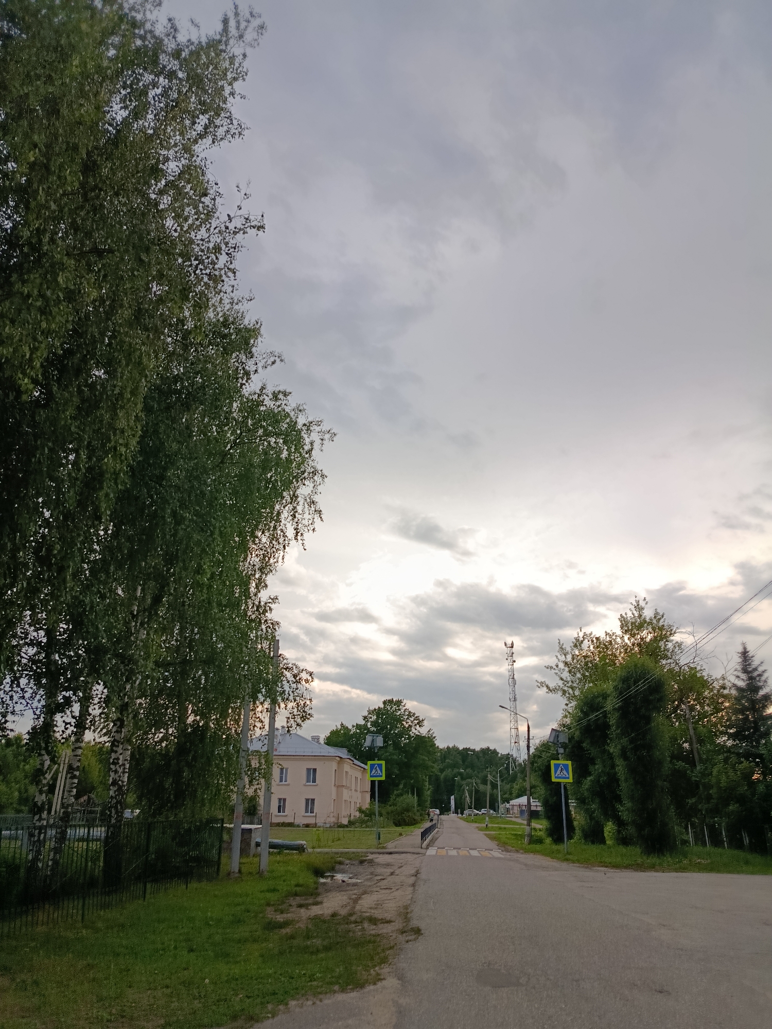 The image shows a street scene in Vereya, Russia, under an overcast sky. On the left, tall birch trees with green foliage line a grassy area with a dark metal fence. A light-colored, two-story building with multiple windows is visible behind the trees and fence. The street, paved with asphalt, runs from the foreground towards the distance, with a pedestrian crossing marked by yellow and white stripes in the mid-ground. Two yellow pedestrian crossing signs, featuring a blue silhouette of a person walking, are visible on poles along the street. A cell tower stands tall in the distance. Trees and greenery flank both sides of the road, with more buildings and structures dimly visible further down. The overall impression is one of a quiet, possibly rural or suburban street.