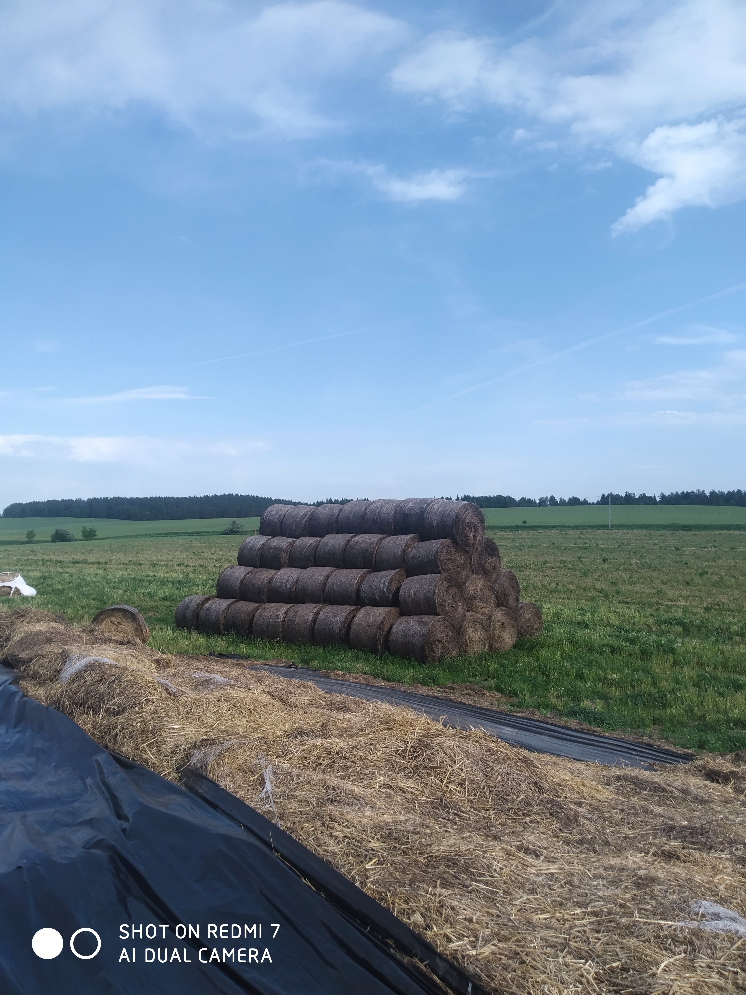 The image shows a rural scene, likely in or near Чумна, Russia. In the foreground, a pile of dry hay or straw is partially covered by black plastic sheeting. To the left are additional hay bales scattered on the ground. A neatly stacked pyramid of round hay bales dominates the center of the image. In the background, a green field stretches towards a line of trees on the horizon. The sky is blue with scattered clouds. No people are visible.
