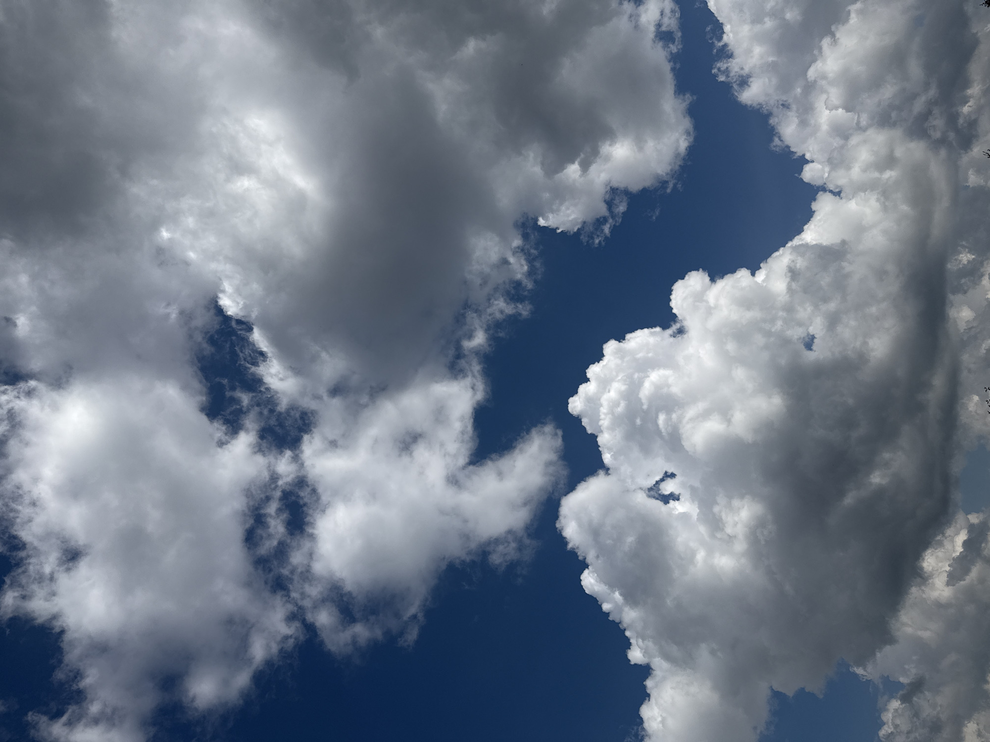 The image shows a dramatic sky with a mix of white and dark gray cumulus clouds against a deep blue sky. The clouds are varied in texture and density, with some appearing fluffy and illuminated by sunlight, while others are heavier and shadowed. The scene is captured from a low angle, looking upwards. There are no people, subjects, or specific objects clearly visible. The image is a close-up view of the sky, suggesting it was taken on an overcast or partly cloudy day. The lower edge of the image shows the very tops of some distant, dark, silhouetted trees, indicating an outdoor environment, possibly a park or the outskirts of a town. There is no specific information in the image to indicate the location within the city of Mahilyow, Belarus.