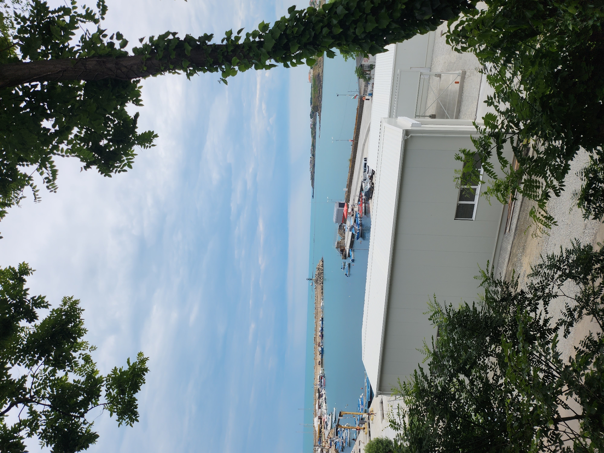 The image depicts a view of the Tsarevo harbor in Bulgaria, seen from an elevated vantage point. In the foreground, lush green trees and foliage frame the scene, with a prominent tree trunk covered in ivy on the right side. Beyond the trees, two modern, white, rectangular buildings with metal roofs are visible. One building features a row of windows on its side.
The middle ground showcases the harbor itself, filled with numerous boats of varying sizes. These include what appear to be fishing vessels and smaller pleasure craft, moored in calm, blue waters. A breakwater, constructed from large rocks, extends into the sea, with a lighthouse or navigational marker at its end. Beyond the breakwater, the expansive blue sea meets a hazy horizon, where the coastline with some buildings is visible. The sky is partly cloudy, with a mix of blue sky and light gray clouds. The overall scene is serene, suggesting a coastal town in Bulgaria.