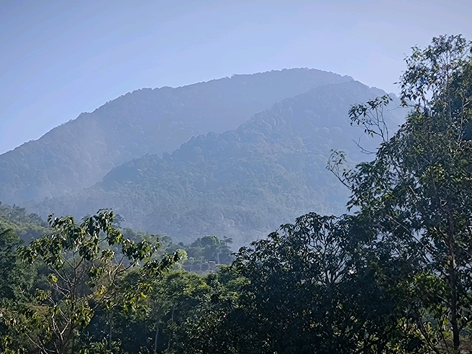 The image depicts a hazy mountainous landscape with lush green trees in the foreground. The mountains are layered, with the furthest peaks appearing pale blue and indistinct due to atmospheric conditions. The sky is a clear, light blue. In the foreground, dense foliage of various trees dominates the lower portion of the frame, with some branches and leaves reaching upwards towards the mountains. The scene appears to be a natural, outdoor environment, possibly a scenic viewpoint or a natural reserve. The image does not contain any people, objects, or actions. Based on the vegetation and mountain characteristics, this could be a scene from the mountainous areas surrounding Bandung City, Indonesia, known for its natural beauty and cool climate.