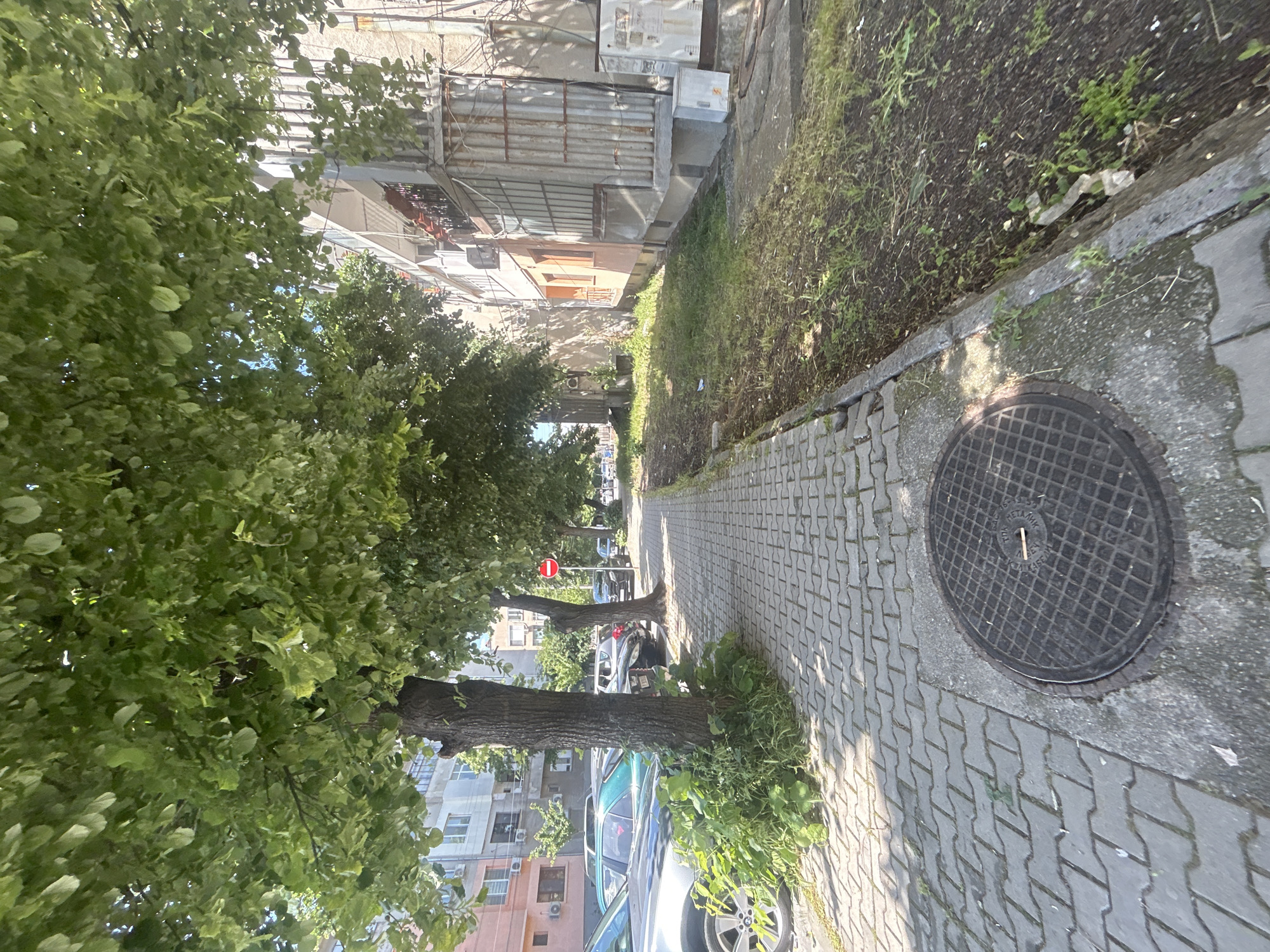 The image shows a sidewalk in an urban setting, likely in Unknown, Unknown. The sidewalk is paved with interlocking gray blocks. A round metal manhole cover is visible on the right side of the sidewalk. The sidewalk is bordered by a strip of dirt and vegetation. On the left side, trees line the sidewalk, providing shade. Cars are parked along the street, partially obscured by the trees. Buildings of varying heights and architectural styles are visible in the background. A red and white traffic sign is also visible further down the street.