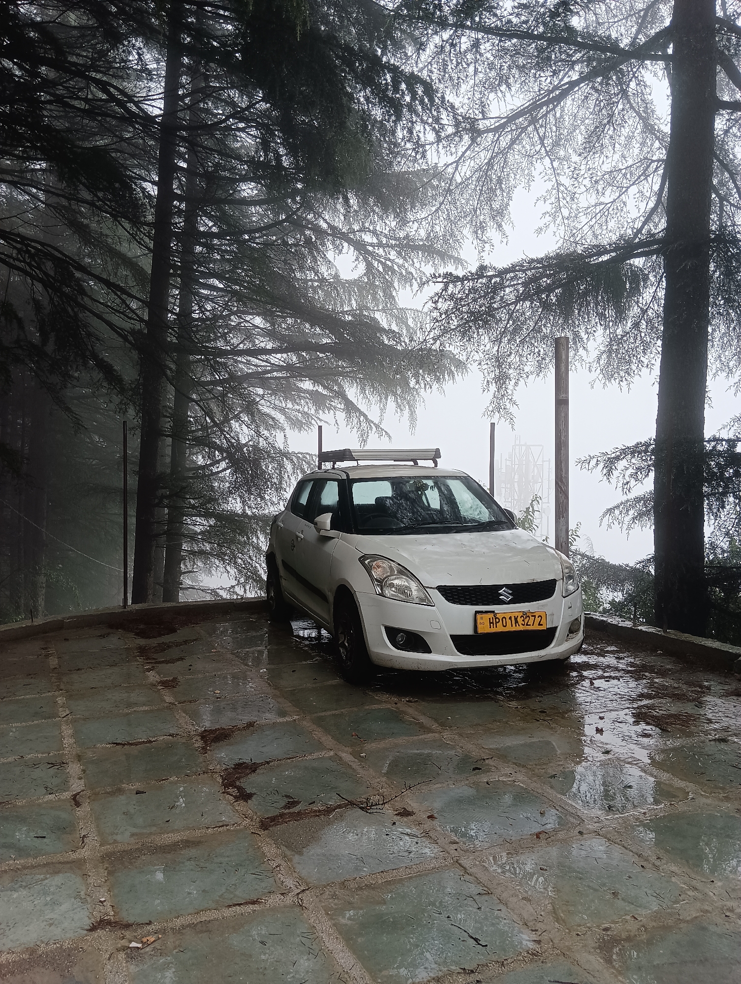 A white hatchback car, identified by the license plate HP01K3272, is parked on a wet, tiled surface amidst a dense forest of pine trees in Chhyal, India. The car is facing the camera and has a roof rack installed. The ground is covered in puddles and fallen leaves, indicating recent rain. The background is obscured by fog and the dark silhouettes of the trees, creating a somber atmosphere. A wooden pole stands to the right of the car, and in the far distance, some industrial structures are faintly visible through the mist. No people are present in the image.