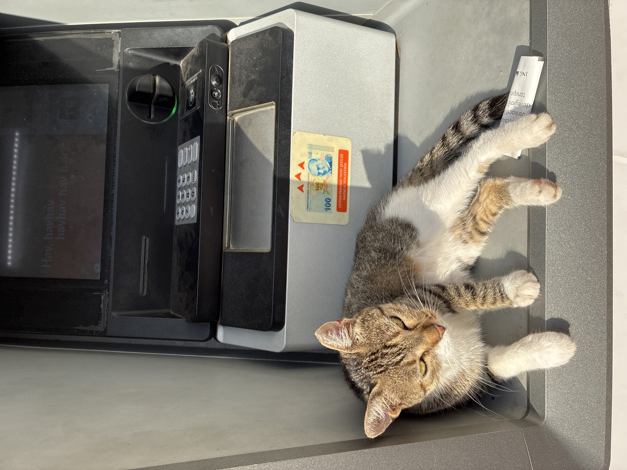 A tabby cat with white paws and a striped tail rests in a recumbent position on the base of an outdoor ATM in Alanya, Turkey. The cat's body is angled diagonally across the lower portion of the frame, with its head turned to its left, looking towards the viewer with its green eyes partially closed. Sunlight casts shadows on the ATM and the cat. Above the cat, the ATM features a keypad, a card slot, a screen displaying partial text, and a circular card reader with a green light illuminated. A sticker depicting a Turkish banknote and a portrait is adhered to the front of the ATM to the right of the card slot. A small piece of paper with text is partially visible beneath the cat's hind legs. The surrounding environment appears to be an urban setting, indicated by the presence of the ATM.