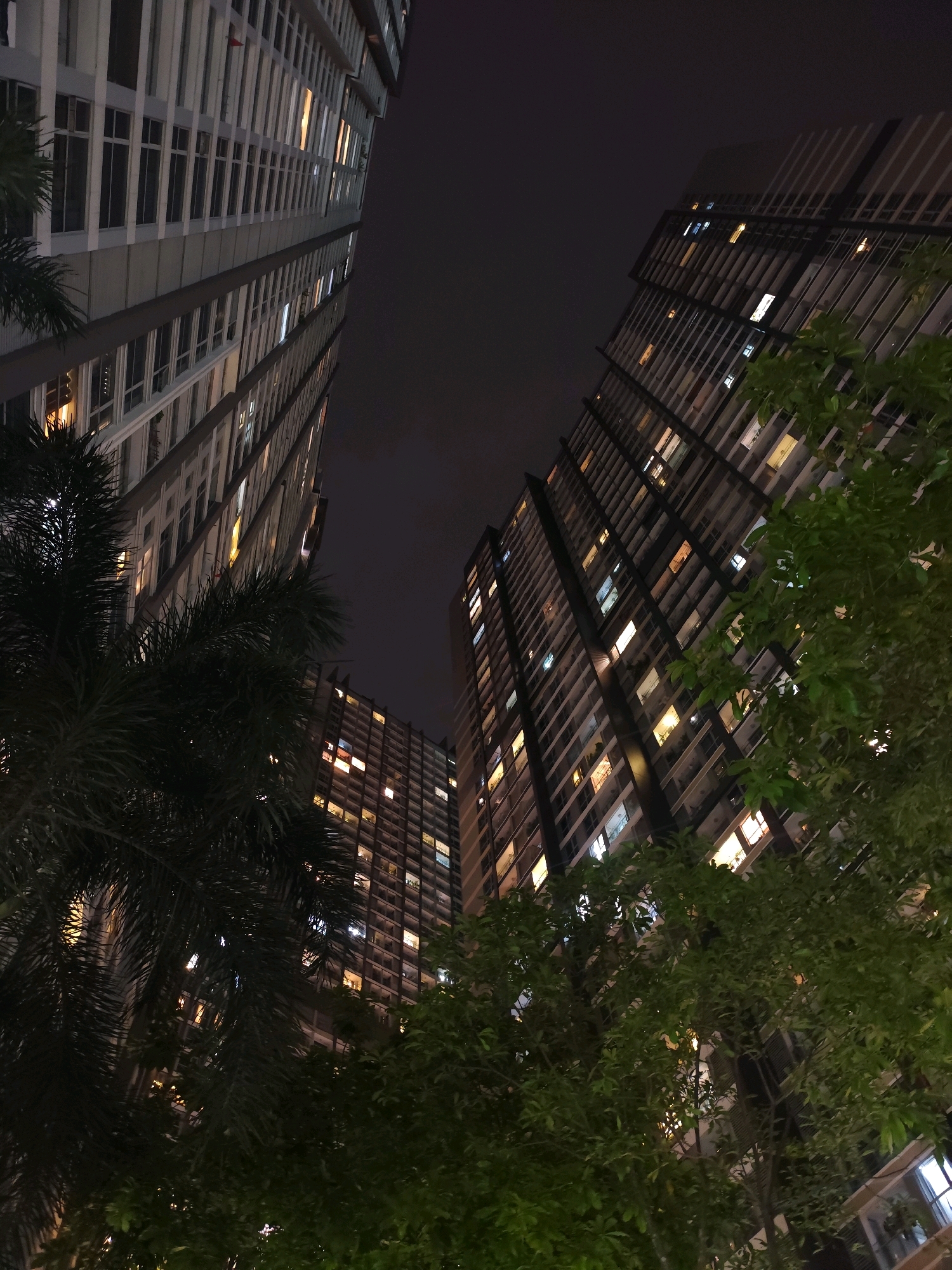 The image depicts a nighttime view of high-rise apartment buildings in Ho Chi Minh City, Vietnam. Two prominent residential towers are visible, angled upwards towards a dark sky. The left tower, closer to the foreground, is a light-colored building with numerous windows, many of which are illuminated with a warm, yellowish light. A large, dark green palm tree with feathery fronds occupies the left side of the frame, partially obscuring the view of this building.
The second tower, positioned to the right and slightly further back, is also a multi-story structure with a dark facade. Its windows are also lit, revealing residential occupancy. Lush green foliage, likely from trees or decorative landscaping, dominates the lower right and central portions of the image, intermingling with the lower floors of the buildings and creating a sense of urban greenery. The overall atmosphere is that of a residential area at night, with the illuminated windows suggesting the presence of inhabitants within the city. The perspective is from a low angle, looking up at the towering structures.