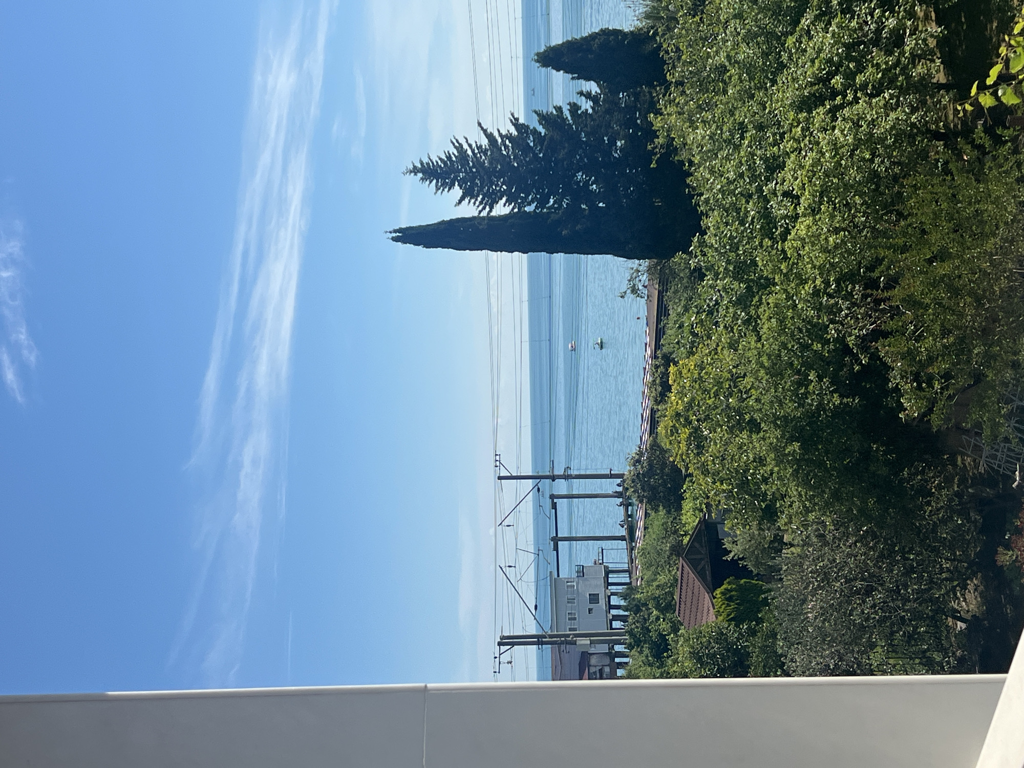 A high-angle, outdoor, daylight shot shows a bright blue sky with wispy white clouds above a calm, turquoise ocean. In the middle ground, several tall, dark green cypress trees stand in silhouette against the water, with a smaller cypress tree to the right. Beyond the trees, a white building on stilts stands over the ocean, with visible power lines and utility poles in front of it. Further out on the water, two small white boats are visible. In the foreground, dense green trees and foliage obscure the lower portion of the scene, with the top of a brown-roofed structure peeking out from the greenery on the left. A white structure partially frames the left side of the image.