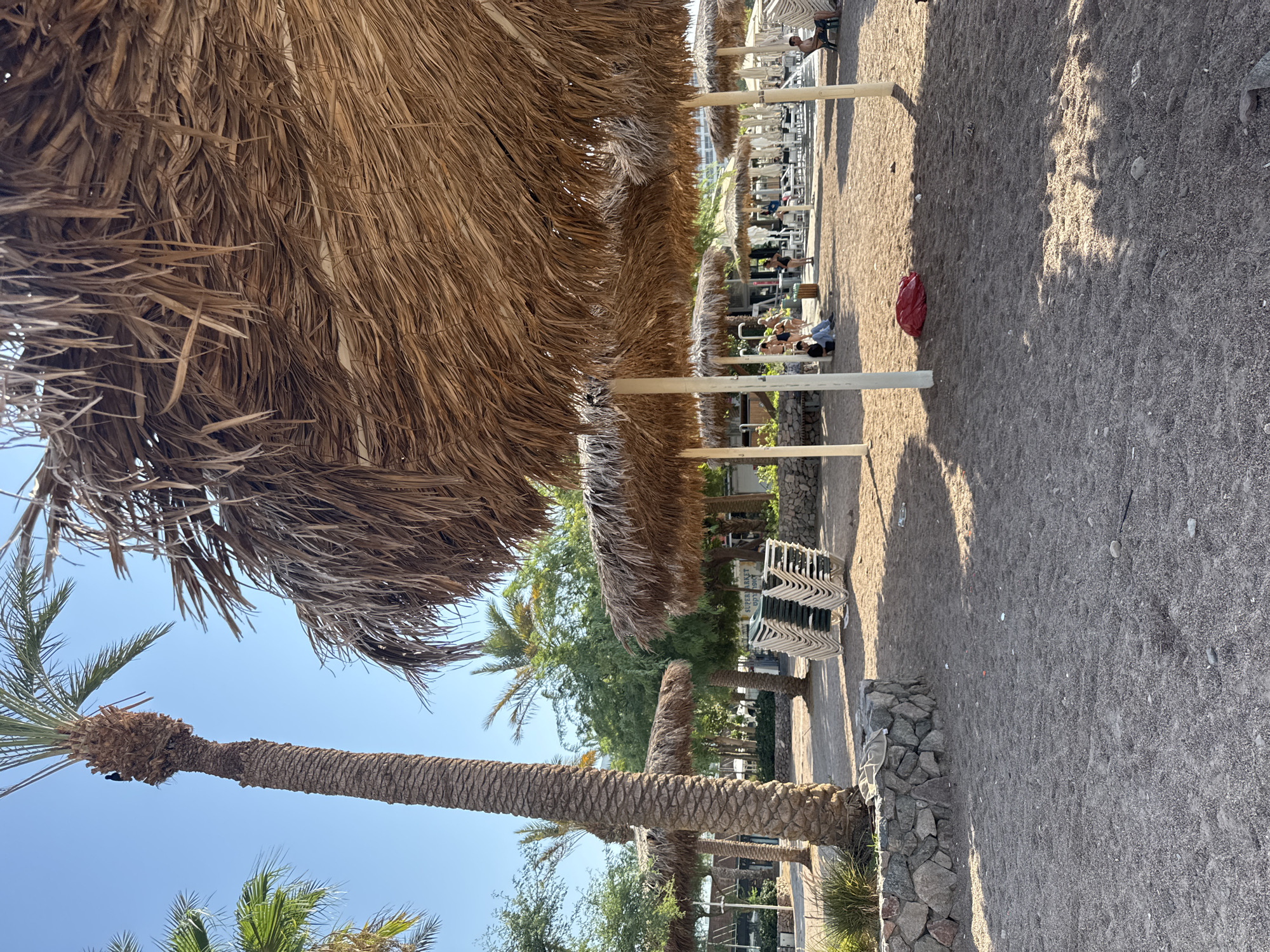 The image depicts a sandy beach area with several thatched-roof umbrellas providing shade. In the foreground, a tall palm tree stands to the left. Several beach chairs are stacked neatly to the right of a stone planter. In the background, more umbrellas and seating arrangements are visible, with some people relaxing or walking. Green foliage and buildings can be seen further in the distance. The scene appears to be a resort or public beach in Eilat, Israel, under a clear blue sky.