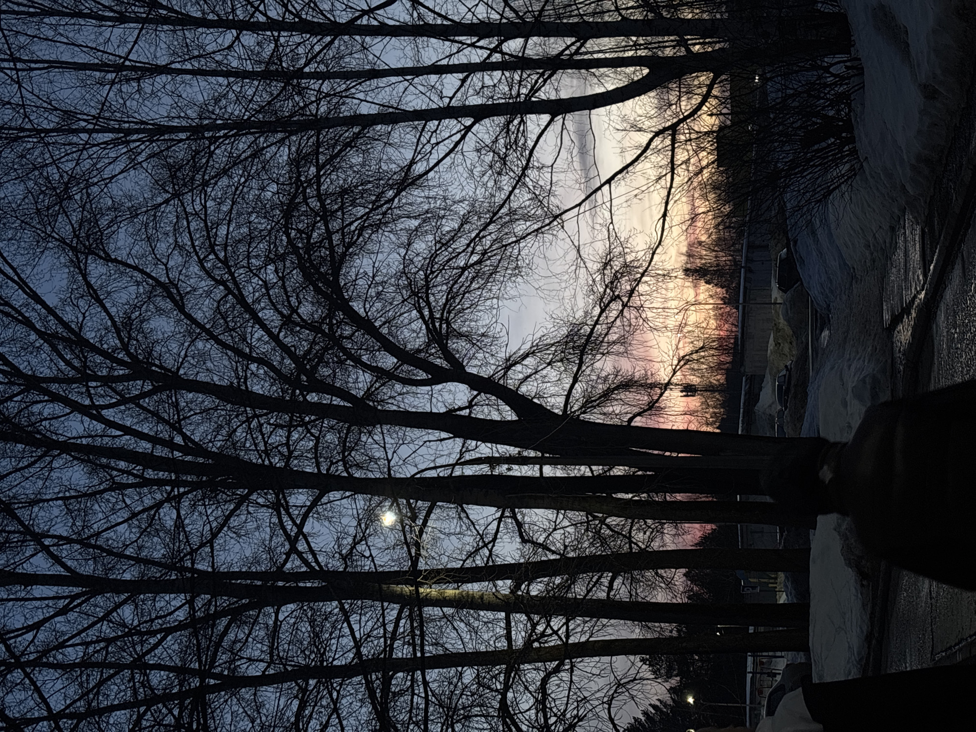 The image depicts an urban or semi-urban winter twilight scene in Chaikovsky, Russia, likely at dawn or dusk. The sky transitions from dark blue at the zenith to a vibrant orange and pink hue at the horizon on the right, indicative of sunrise or sunset. Numerous bare deciduous trees form dark silhouettes across the entire frame, their intricate branch networks obscuring much of the sky. A bright, circular streetlamp is visible through the tree canopy on the left, casting a localized glow.
In the foreground, two figures are visible from behind, largely silhouetted. The figure on the far left is partially cropped, with a segment of a light-colored hood or collar visible. The central figure, wearing a dark jacket or coat, is oriented away from the viewer, appearing to walk or stand on a dark, wet or icy paved path. The ground is covered with substantial snowdrifts, particularly on the right and in the mid-distance, interspersed with dark, wet patches of pavement or ground.
In the mid-ground and background, behind the foreground elements, multiple indistinct dark vehicles are visible in what appears to be a parking area or street. Low-rise structures and piles of snow are also discernible. On the far right horizon, a tall, slender structure, possibly a cellular tower, stands against the colorful sky. The overall environment suggests a cold, post-winter or pre-spring setting with artificial illumination supplementing natural twilight.