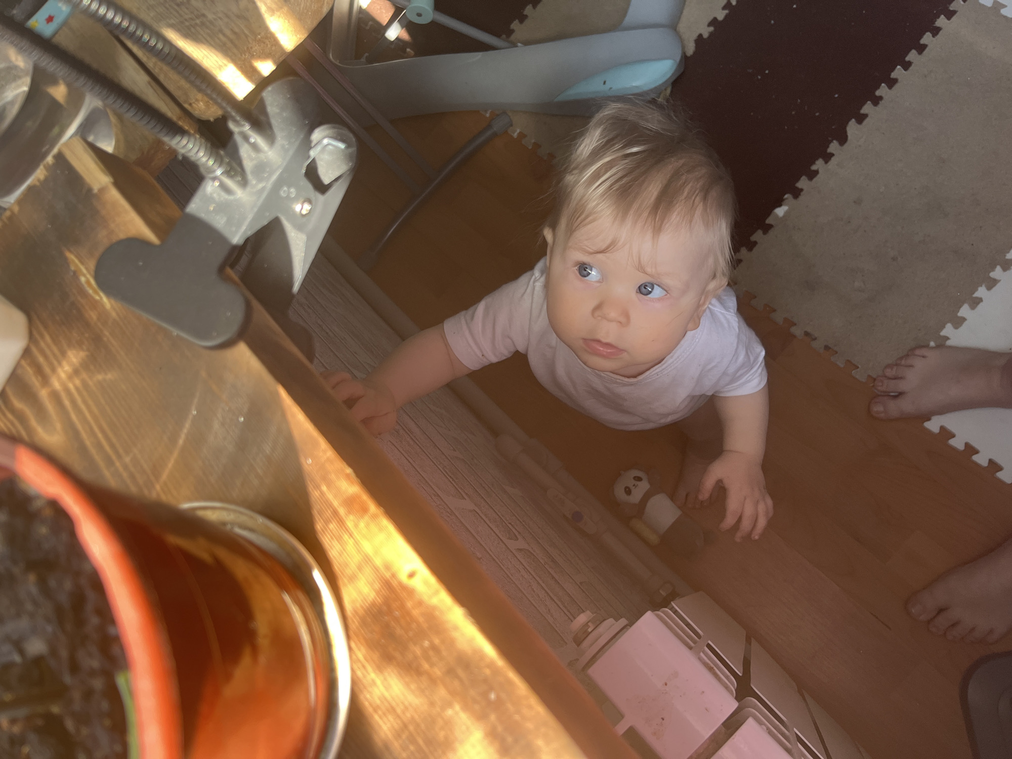 The image depicts a baby with blonde hair and blue eyes looking up towards the left side of the frame. The baby is wearing a white shirt and appears to be standing on a wooden floor. The baby's left hand is touching a light-colored wooden surface. A small panda toy lies on the floor near the baby. To the left of the baby, there is a pot with dark soil inside. Above the baby, a baby swing is visible. In the upper left corner of the image, there is a lamp with a flexible neck attached to a wooden surface. In the background, there is a brown and white puzzle mat. Two human feet are visible on the right side of the image, presumably belonging to an adult. The location is presumed to be indoors. The city of Vesyoloye, Russia, cannot be determined from the image.