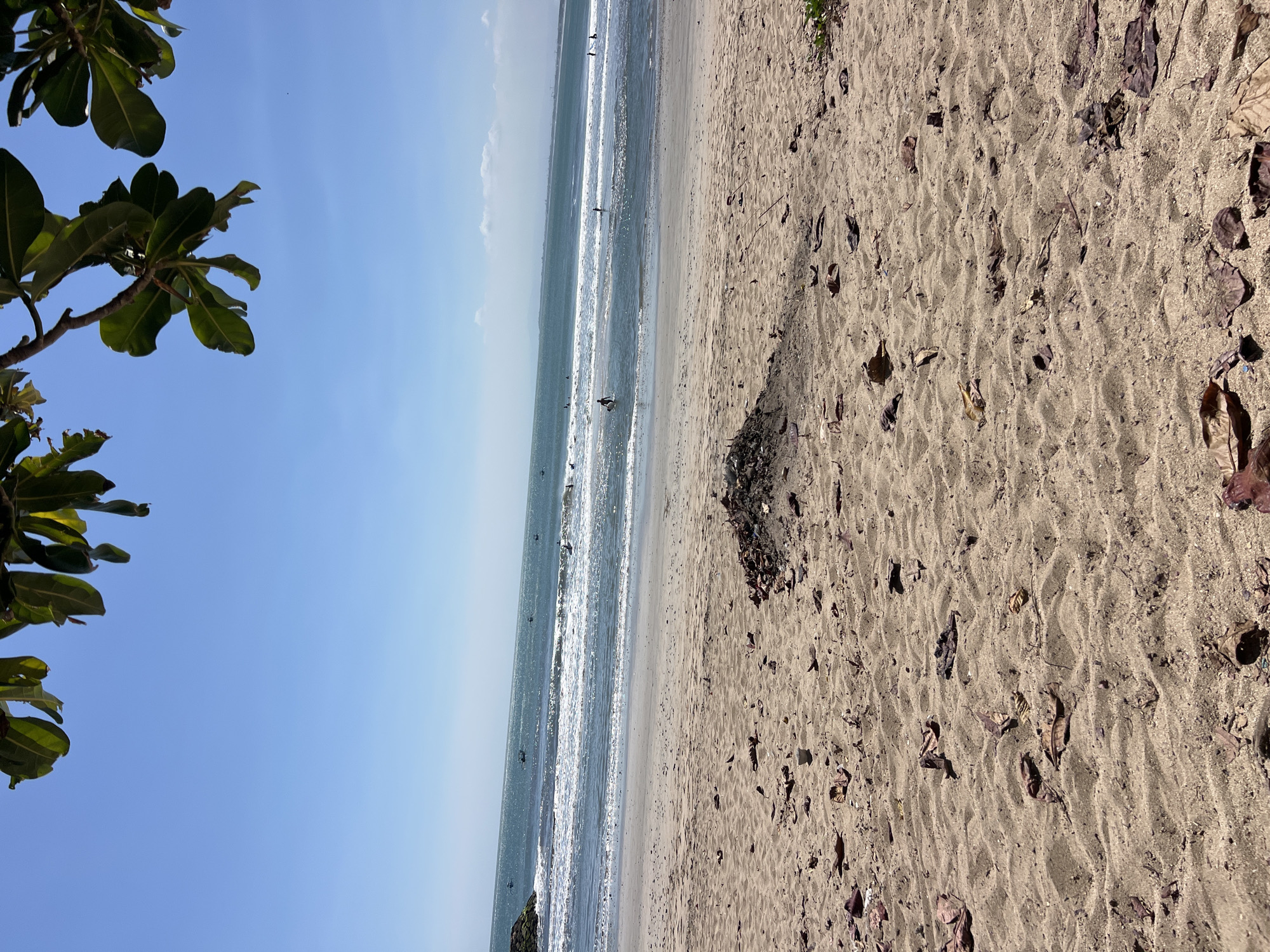 A beach scene in Kuta, Indonesia, features a sandy shore in the foreground covered with scattered dry leaves. In the middle ground, the ocean exhibits moderate waves with several surfers visible in the water, some riding waves and others paddling. A few small fishing boats are also present further out at sea. The background shows a clear blue sky and a distant coastline with faint hazy mountains. Overhead, the branches and leaves of a tree hang into the frame from the top.