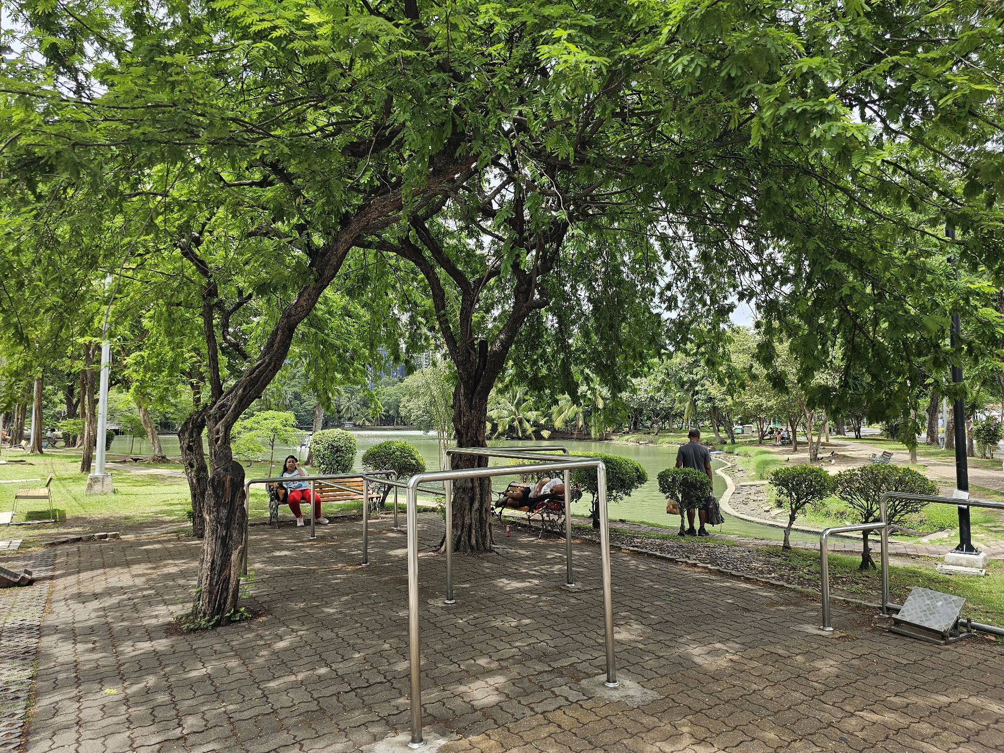 This image captures a serene park scene in Bangkok, Thailand. In the foreground, a paved pathway made of interlocking gray bricks leads through a green park area. To the left, a woman sits on a park bench beneath the lush green canopy of a large tree. Further into the park, a serene body of water reflects the surrounding greenery. Several other park benches are visible, some occupied by people relaxing. The middle ground features manicured bushes and trees, leading to the edge of the water. In the background, more trees and glimpses of urban structures indicate the park's integration within the city. The overall atmosphere is peaceful and recreational, suggesting a typical day in a Bangkok urban park.