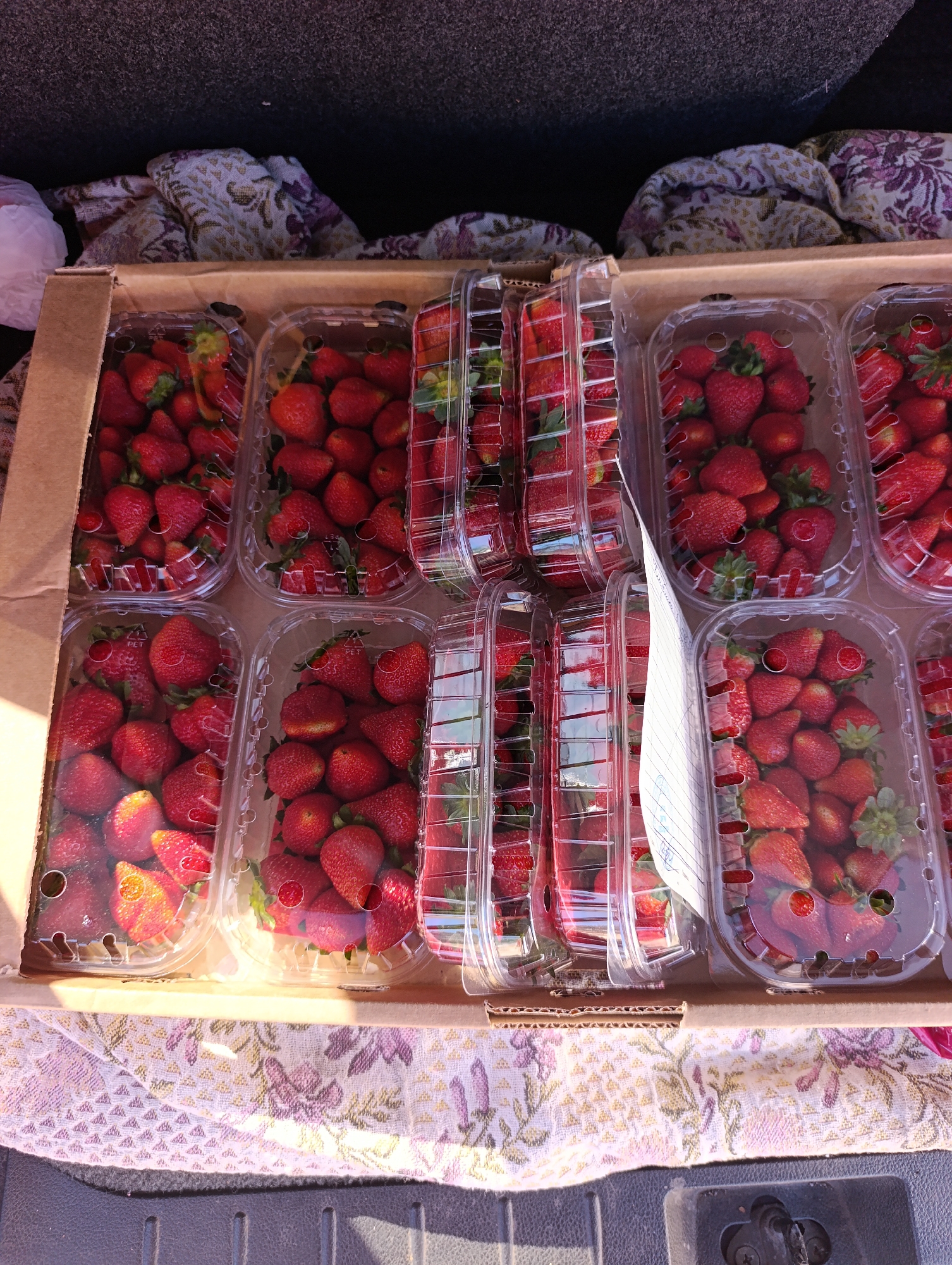 The image shows a cardboard box filled with clear plastic containers of strawberries. The box appears to be in the back of a vehicle, resting on a patterned cloth. There are ten containers of strawberries visible, with some stacked on top of each other. A piece of paper with handwriting on it is inserted between some of the containers. The location of the image is unknown, but the prompt asked to locate the image in Krasnoyarsk, Russia. This is not possible to do based on the image.
