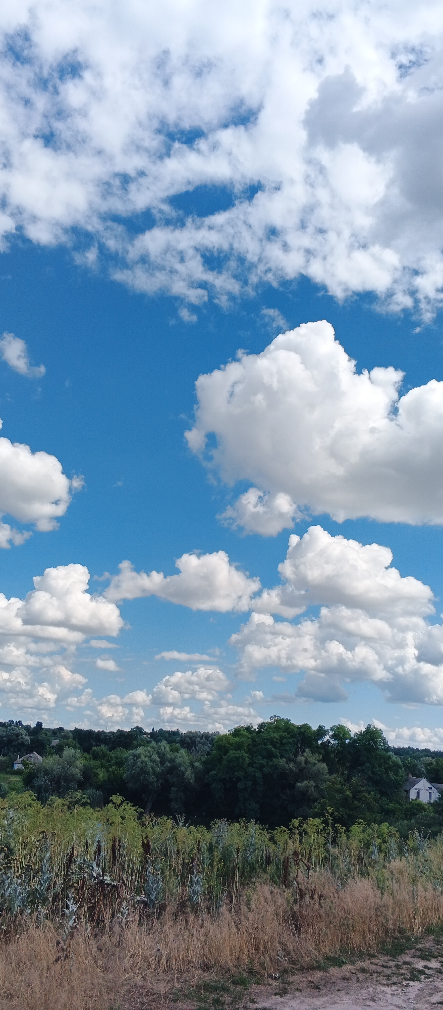 The image depicts a landscape scene with a bright blue sky filled with fluffy white cumulus clouds. Below the sky, there is a dense line of dark green trees, suggesting a forested area. In the foreground, there is dry, tall grass and some green foliage. On the far right side of the image, a white house with a dark roof is visible amidst the trees. The overall impression is of a rural or semi-rural setting. The location is identified as Ternivka, Ukraine.