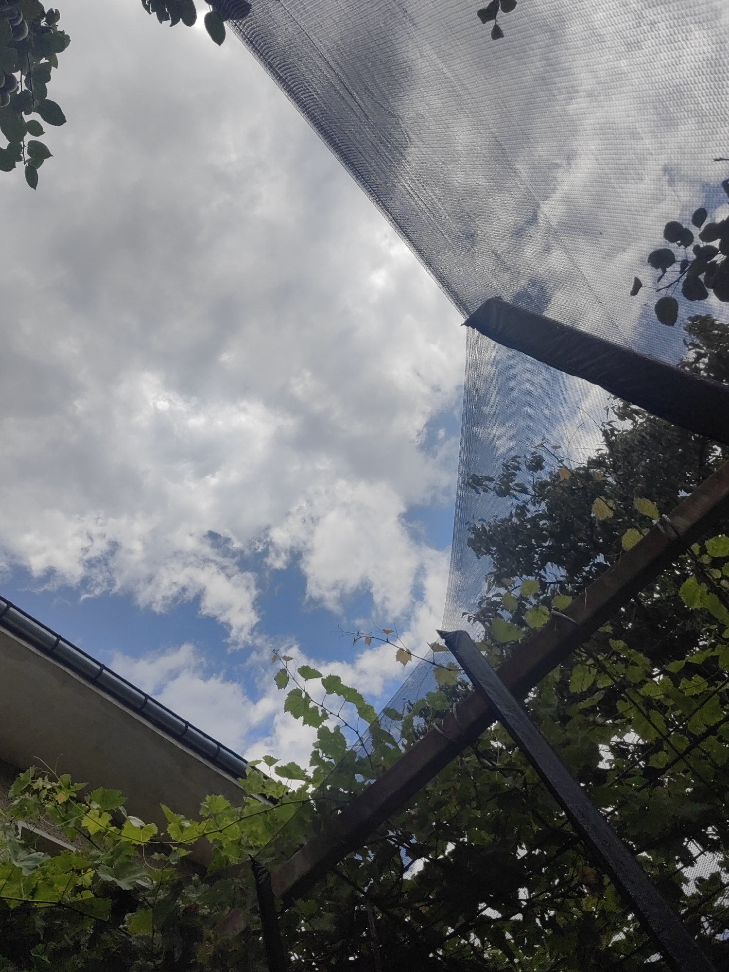 An upward-facing outdoor photograph captures a section of a building's eaves, a black mesh covering, and foliage against a cloudy blue sky. The building's eaves are gray with a dark gutter. The black mesh, likely a bird net, is stretched across wooden supports and extends diagonally from the upper right to the middle left of the frame. Green leaves and vines are visible in the lower and right portions of the image, with some yellowing leaves also present. The sky is a mixture of bright blue patches and white and gray clouds. The scene is situated in Djerovo, Bulgaria.