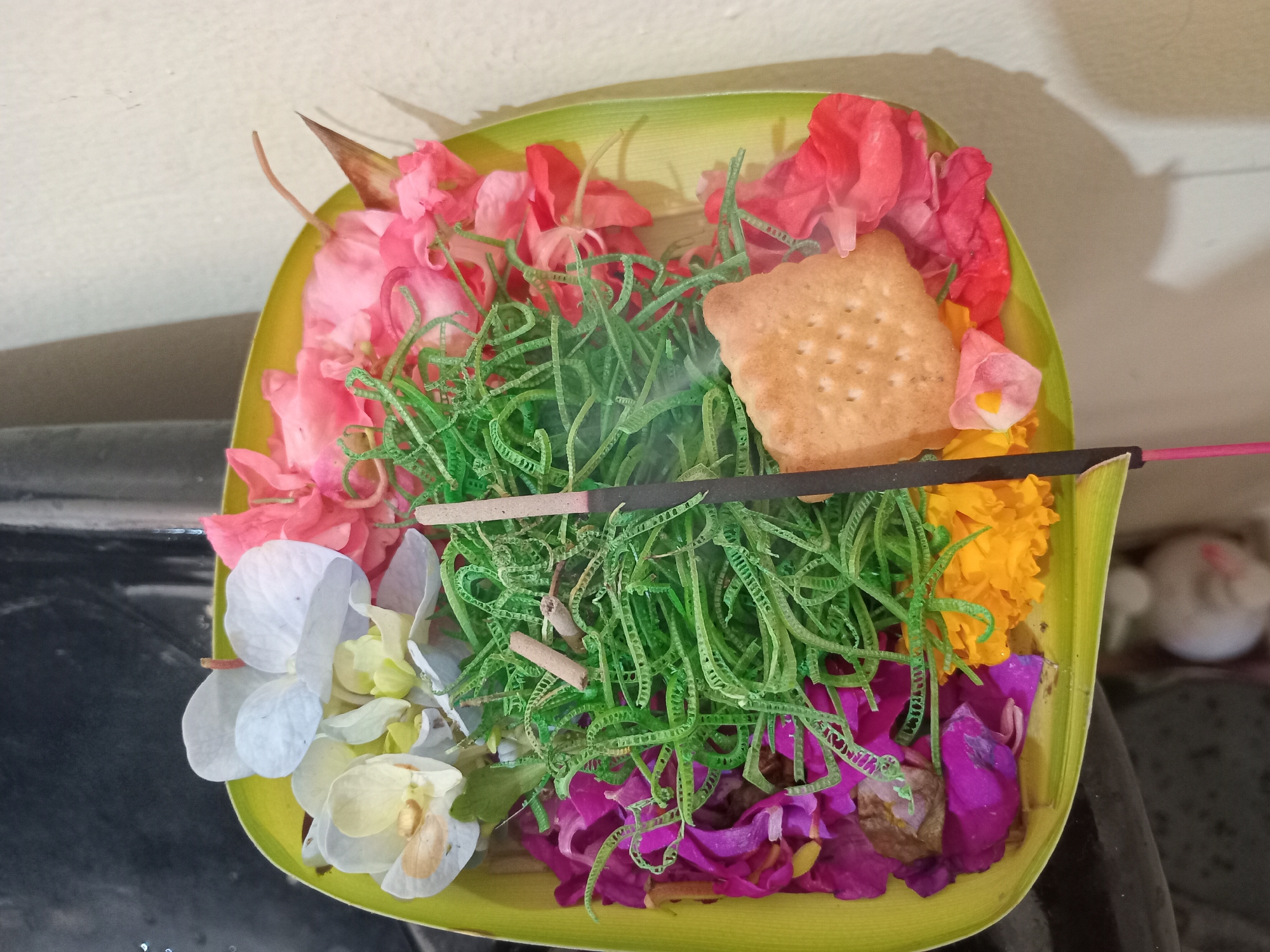 A close-up shot captures a vibrant Balinese offering, known as a Canang Sari, presented in a light green, boat-shaped palm leaf basket. The offering is a rich medley of natural elements and a prepared item, characteristic of daily Hindu rituals in Bali, Indonesia, specifically in the North Kuta region.
Inside the offering basket, an array of colorful flowers creates a striking visual. Prominently featured are bright pink and red petals, likely from bougainvillea, alongside golden-yellow marigold blossoms and scattered purple flower petals. Delicate white and pale yellow orchid-like flowers add to the floral arrangement. A bed of bright green, shredded material, possibly young palm leaves or an artificial filler, forms a base for some of the offerings.
Nestled among the flora is a square, light brown cracker or biscuit, perforated with a grid pattern of small holes. An unlit dark brown incense stick with a pink tip lies horizontally across the offering, with a subtle wisp of smoke emanating from it, suggesting it has either just been lit or is about to be. Two small, light brown wooden sticks, possibly cinnamon or sandalwood, are also visible within the green shredded material.
The offering is placed on a dark, reflective surface, possibly a table, against a plain, light-colored wall in the background. A distinct shadow cast on the wall indicates a light source from the side, but the time of day and specific indoor/outdoor setting are not clearly discernible. No text is visible in the image.