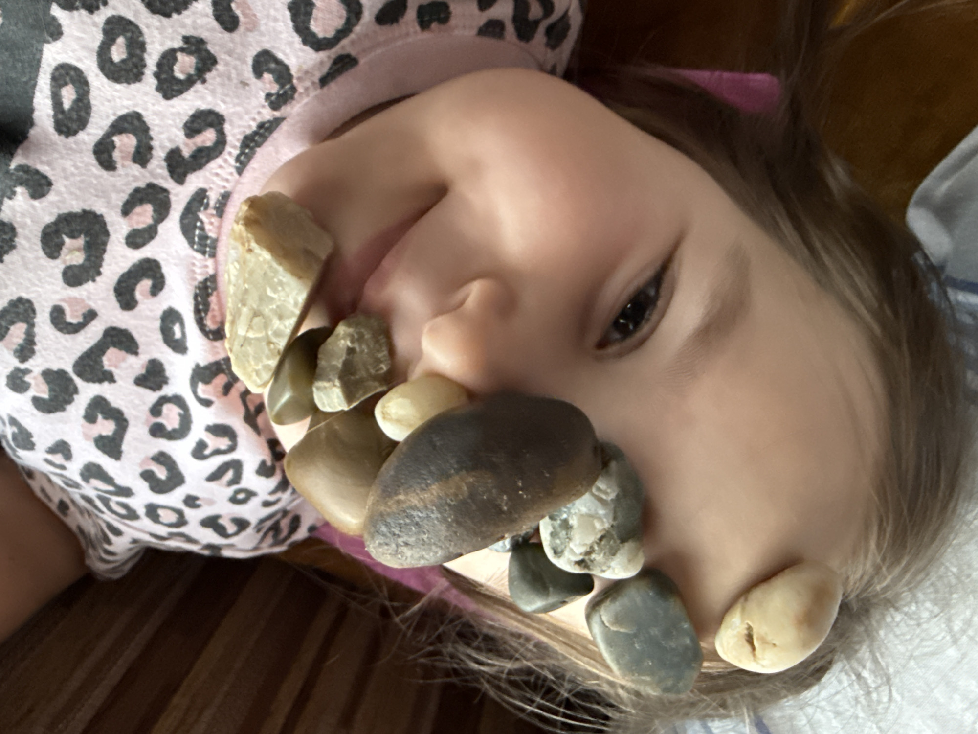A close-up, overhead shot shows a young child with several smooth stones balanced on their face. The child is wearing a pink and black leopard-print top and appears to be lying down, with their head tilted. The background is a blurry mix of wooden textures and fabric. The image has a shallow depth of field, with the stones and the child's face in sharp focus, while the background is blurred. The lighting is soft and natural. The location is specified as Solnechnyi, Russia, but no visual cues in the image support this.
