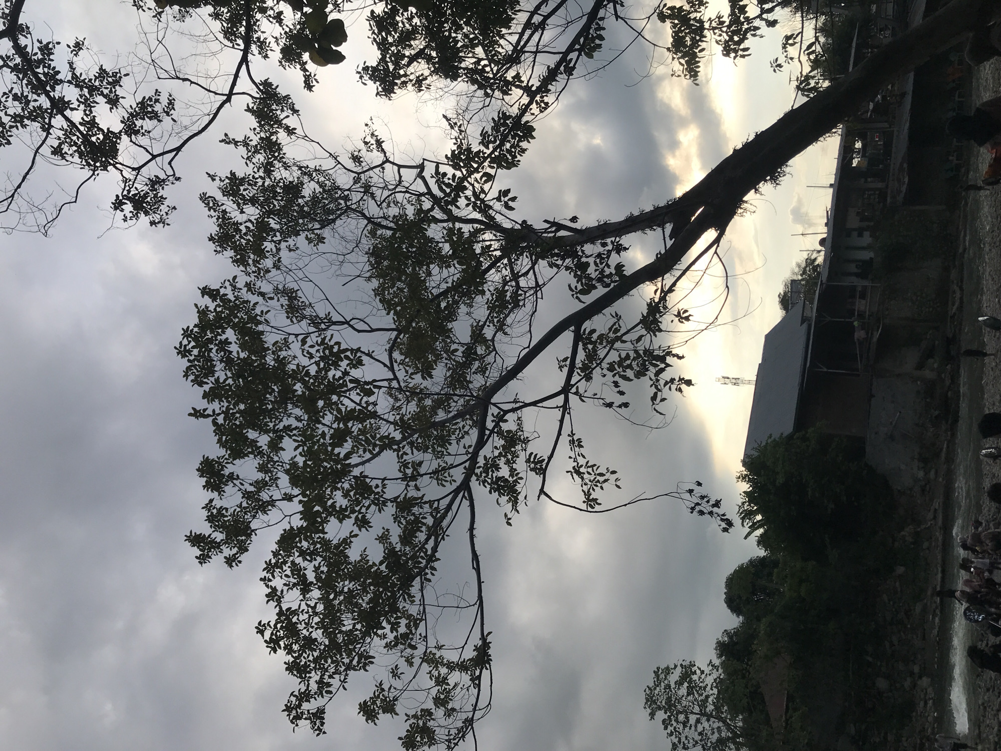 The image shows a view looking up at trees against a cloudy sky. The trees are in silhouette, with leaves and branches visible. The sky is overcast with varying shades of grey. In the background, there is evidence of buildings and a river or stream with people gathered on the banks. This scene is located in Meurah, Indonesia.