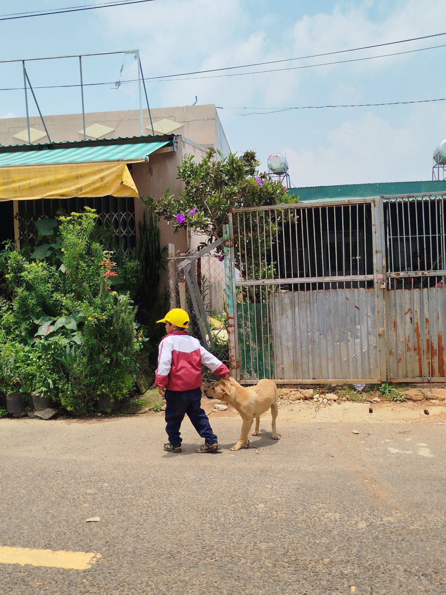 The image depicts a young child wearing a yellow cap, a red and white jacket, and dark pants, standing on a paved road. The child is patting a light brown dog. To the left of the child are potted plants in front of a building with a yellow and green awning. To the right, a rusty metal gate encloses a property where two water tanks are installed on the roof. The location is likely in the city of Đa Nghịt 1, Vietnam.