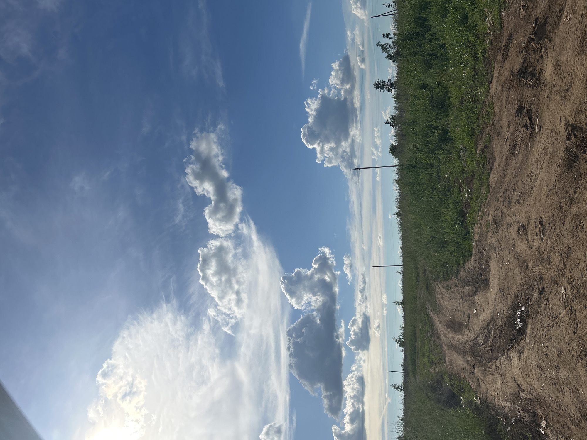 The image displays a landscape scene under a bright blue sky with scattered white clouds, suggesting it's daytime, likely late morning or afternoon given the sun's position. The scene is divided into two main parts: the sky on the left and the ground on the right. The sky is vast and filled with a variety of clouds, from wispy cirrus clouds to larger, more defined cumulus clouds, some of which appear to be catching the sunlight.
The ground is a dirt path, showing tire tracks, indicating it's a rural or undeveloped area. To the left of the path, there is a dense, green field of grass and vegetation, with a few trees scattered along the horizon. Several utility poles are visible in the distance, running parallel to the edge of the field, suggesting the presence of infrastructure. The overall impression is of an open, natural landscape, possibly in a rural area of Russia, as suggested by the location context. There are no people or specific events depicted, just a serene, natural setting. The weather appears to be fair and sunny, with a gentle breeze implied by the cloud formations.