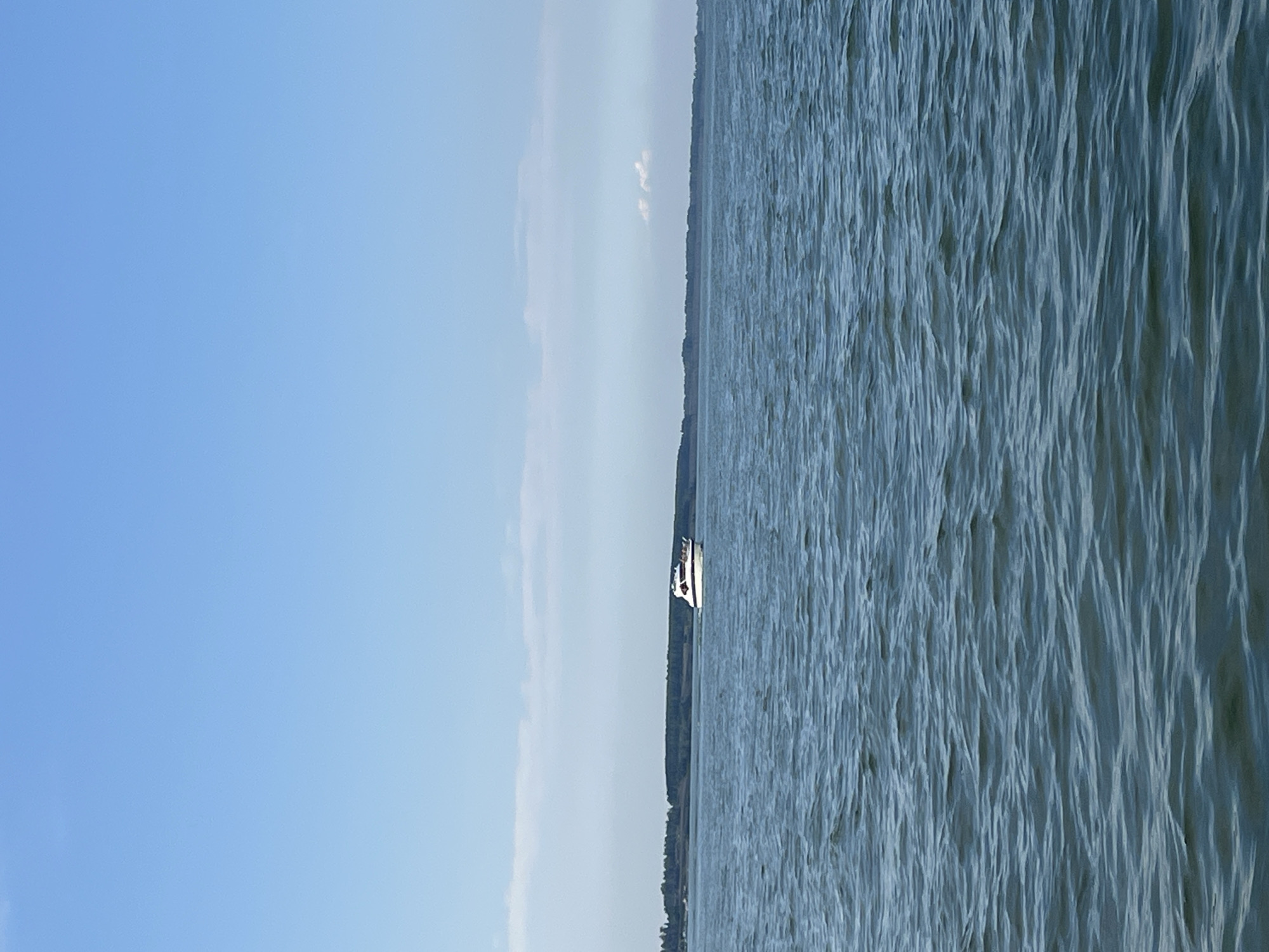 A white yacht with dark trim sails on a calm blue body of water under a clear sky with scattered clouds. A dense, dark green treeline borders the far side of the water, with a few structures visible on it. The water is slightly rippled, reflecting the blue of the sky.