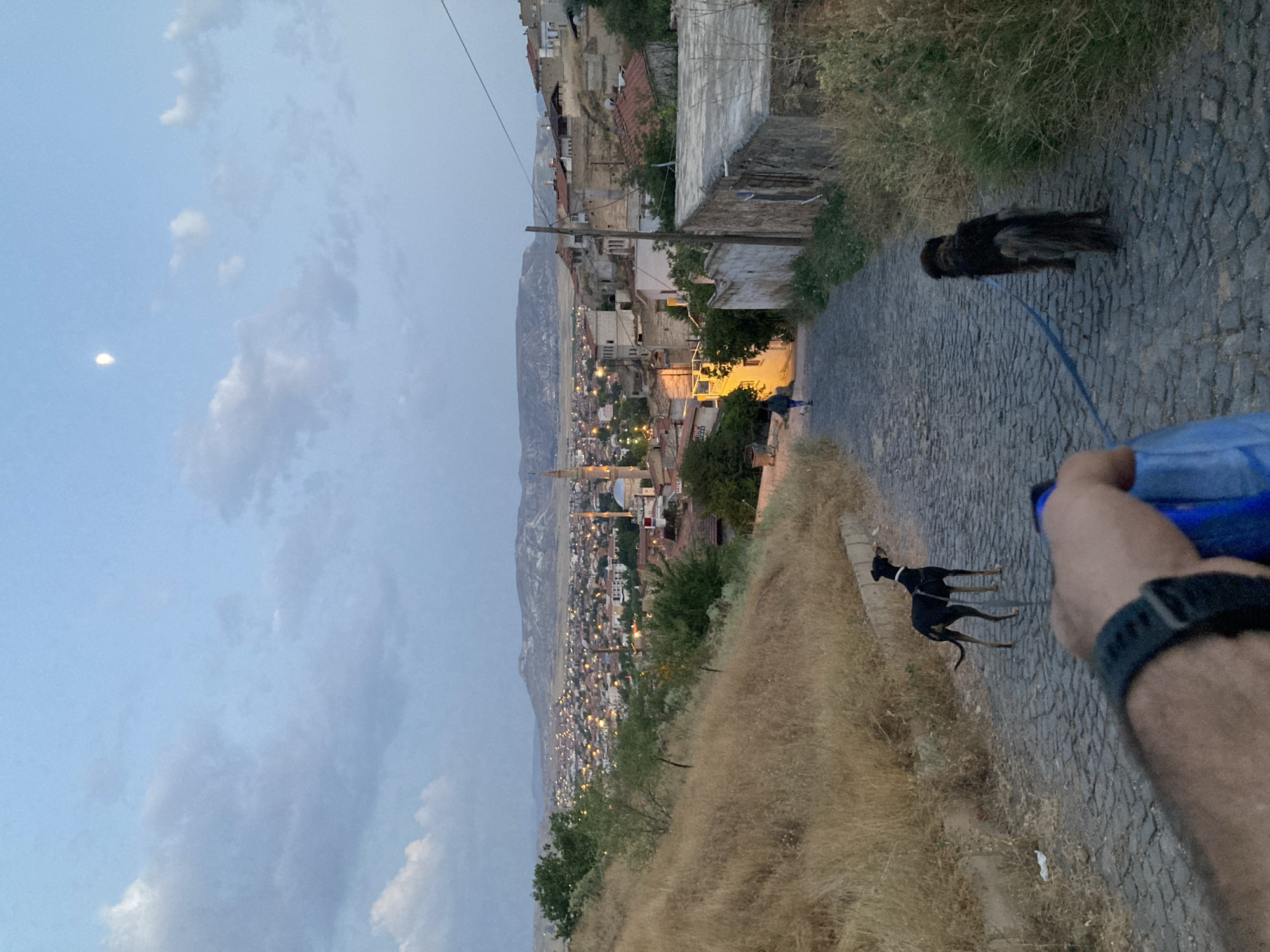The image depicts a cobblestone street in Avanos İlçe Merkezi, Turkey, as dusk settles. In the foreground, a person's arm and hand are visible, holding a blue object and a leash. Two dogs are on the leash, one a slender black dog with a white collar, and the other a shaggier, dark brown dog. Further down the street, a lone figure walks away from the camera, also accompanied by a dog on a leash. The street slopes downwards, leading towards a town with numerous buildings, many illuminated by artificial lights, and a prominent mosque with a minaret. In the background, rolling hills and mountains are visible under a pale blue sky with scattered clouds and a sliver of the moon. Dry, tall grass lines the sides of the street, and some vegetation is interspersed among the buildings. The overall impression is a quiet evening scene in a historical town.