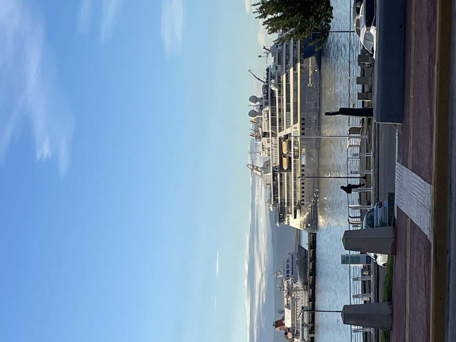 The image displays a daytime scene at the Port of Ushuaia, Argentina. A large, multi-decked expedition cruise ship, identified as the *National Geographic Explorer* by text visible on its dark grey hull, is prominently moored on calm water in the midground. The vessel features a white superstructure, numerous windows, balconies, and multiple radar domes and cranes on its upper decks. To the left of the main ship, a smaller white vessel with a red-orange funnel is also docked. Distant hills or mountains line the horizon under a clear, light blue sky with a few wispy white clouds.
In the foreground, a paved waterfront promenade is visible, composed of reddish-brown tiles with a light grey tactile paving strip. A single individual, silhouetted in dark clothing and potentially carrying a backpack, walks from left to right along this promenade. A white metal railing separates the promenade from the water, and several grey concrete bollards are spaced along its edge. Partially visible behind these bollards are two cars: a light-colored compact car on the left and a white vehicle on the right. Two dark lampposts stand between the promenade and the water, and green foliage from a tree is visible on the far right, partially obscuring the larger ship.