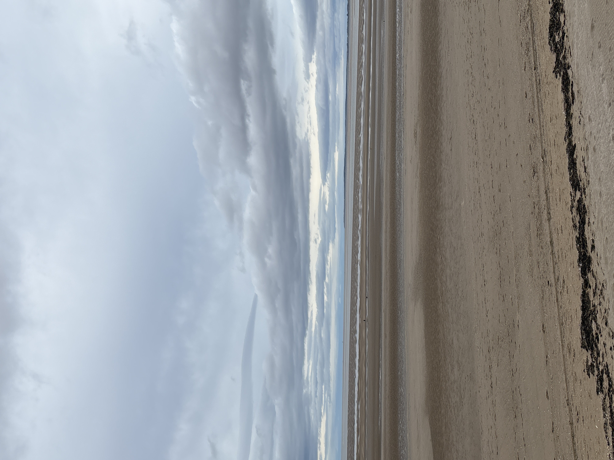 A wide-angle, low-angle shot captures a serene beach scene in Wallasey, United Kingdom. The foreground is dominated by a vast expanse of damp, sandy beach, marked by subtle ripples and a scattering of dark seaweed along the bottom edge. The middle ground reveals the receding tide, creating horizontal bands of wet sand that reflect the overcast sky. A solitary figure, appearing small against the immensity of the landscape, walks on the sand in the middle distance, accompanied by a small dog. Further out, the calm water stretches to the horizon, where it meets a distant shoreline. The sky above is a canvas of heavy, grey clouds, their texture varied and layered, creating a moody and atmospheric backdrop. The overall impression is one of tranquility and natural beauty on a cloudy day.