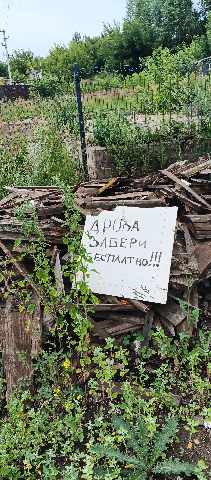 A white sign with black lettering is placed in front of a pile of discarded wooden planks and debris. The sign reads "ДРОВА ЗАБЕРИ БЕСПЛАТНО!!!" which translates to "FIREWOOD TAKE FOR FREE!!!". The sign is leaning against the pile of wood. The pile of wood appears to be a collection of scrap lumber, some of which is weathered and broken. Green vegetation, including weeds and small plants, grows around the base of the pile and in front of the sign. In the background, a wire fence with metal posts is visible, separating the area from a vegetated landscape. Trees are visible beyond the fence. The scene appears to be an outdoor, possibly disused area. The image does not contain any people or discernible indications of the city of Izhevsk, Russia, beyond the prompt's request for this specific location.