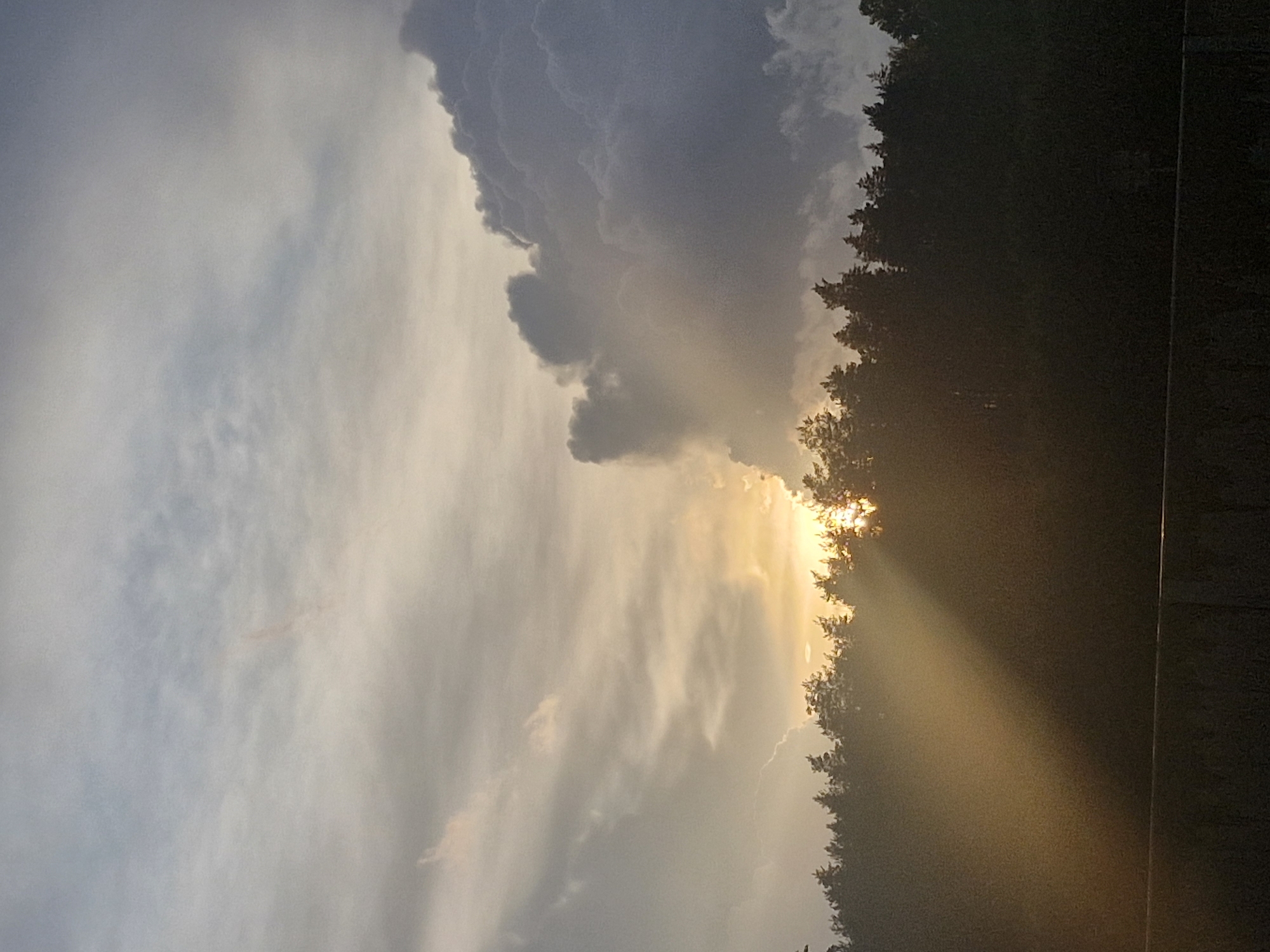 The image depicts a dramatic sunset over a dense forest in Saulgoži, Latvia. The sky is filled with a gradient of light and dark clouds, with the sun's rays piercing through the foliage, creating a striking visual effect. The sun, partially obscured by the trees, casts a warm, golden glow across the scene, highlighting the textured surfaces of the clouds and illuminating a shaft of light that cuts across the dark foreground. The silhouette of the forest is clearly defined against the bright sky, its varied tree heights creating an uneven, jagged horizon. In the foreground, a dark, textured surface, possibly a wall or railing, runs horizontally across the bottom of the frame, adding a sense of depth and grounding the ethereal sky and forest. The overall impression is one of natural beauty and dramatic atmospheric conditions, characteristic of a sunset in a natural landscape.