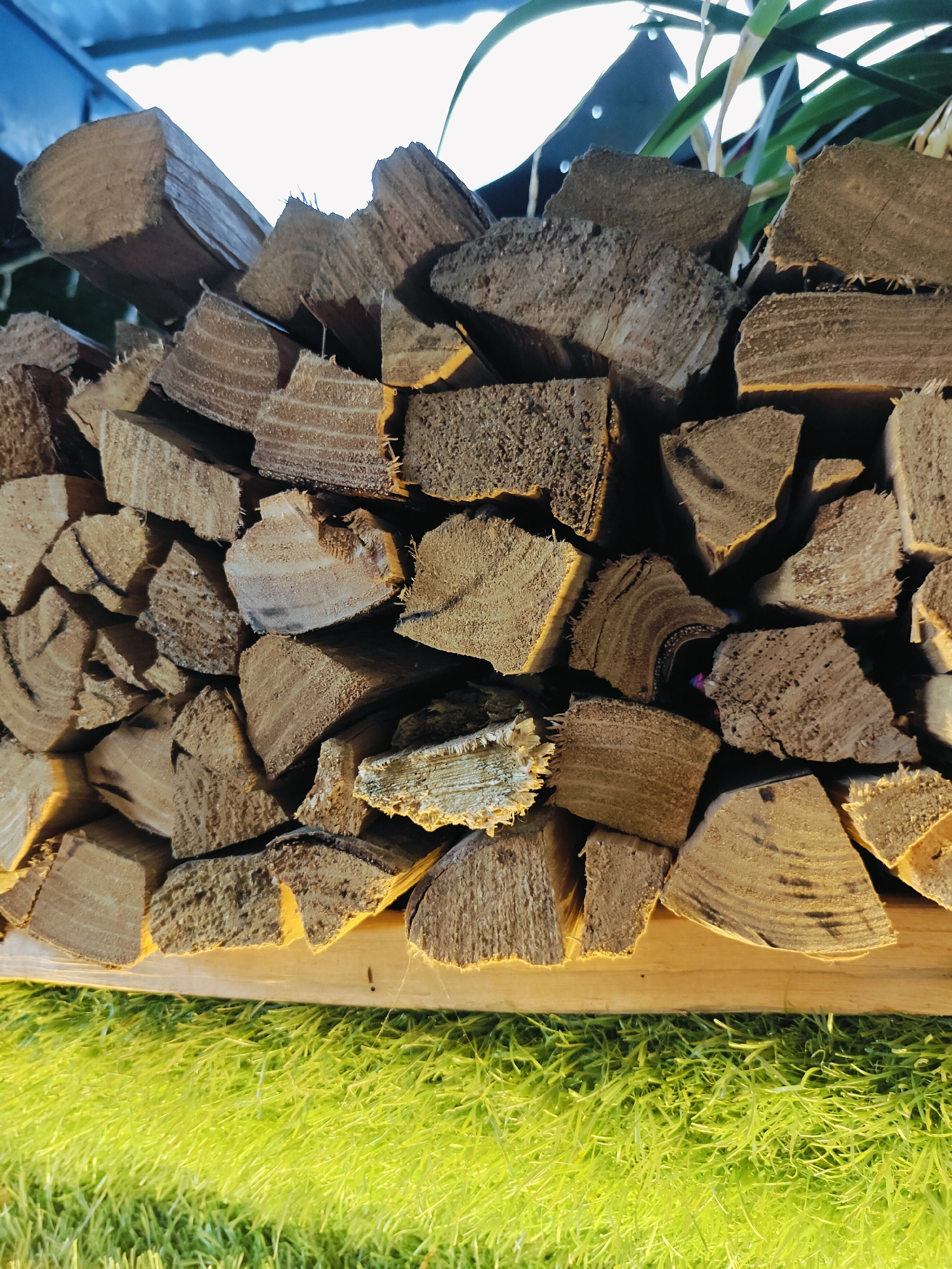 A close-up shot of stacked firewood reveals the rough textures and grain of the wood. The logs are irregularly shaped and vary in size, with some exhibiting a more weathered appearance than others. A pale wooden plank forms the base for the firewood, and beneath that, a patch of vibrant green grass is visible, suggesting an outdoor setting. The background is out of focus but hints at a bright light source, possibly the sun, and some green foliage. The scene appears to be located in Pokhara, Nepal, given the context. There are no people or animals present, and no discernible actions are taking place. The overall impression is one of natural materials arranged for storage or display.