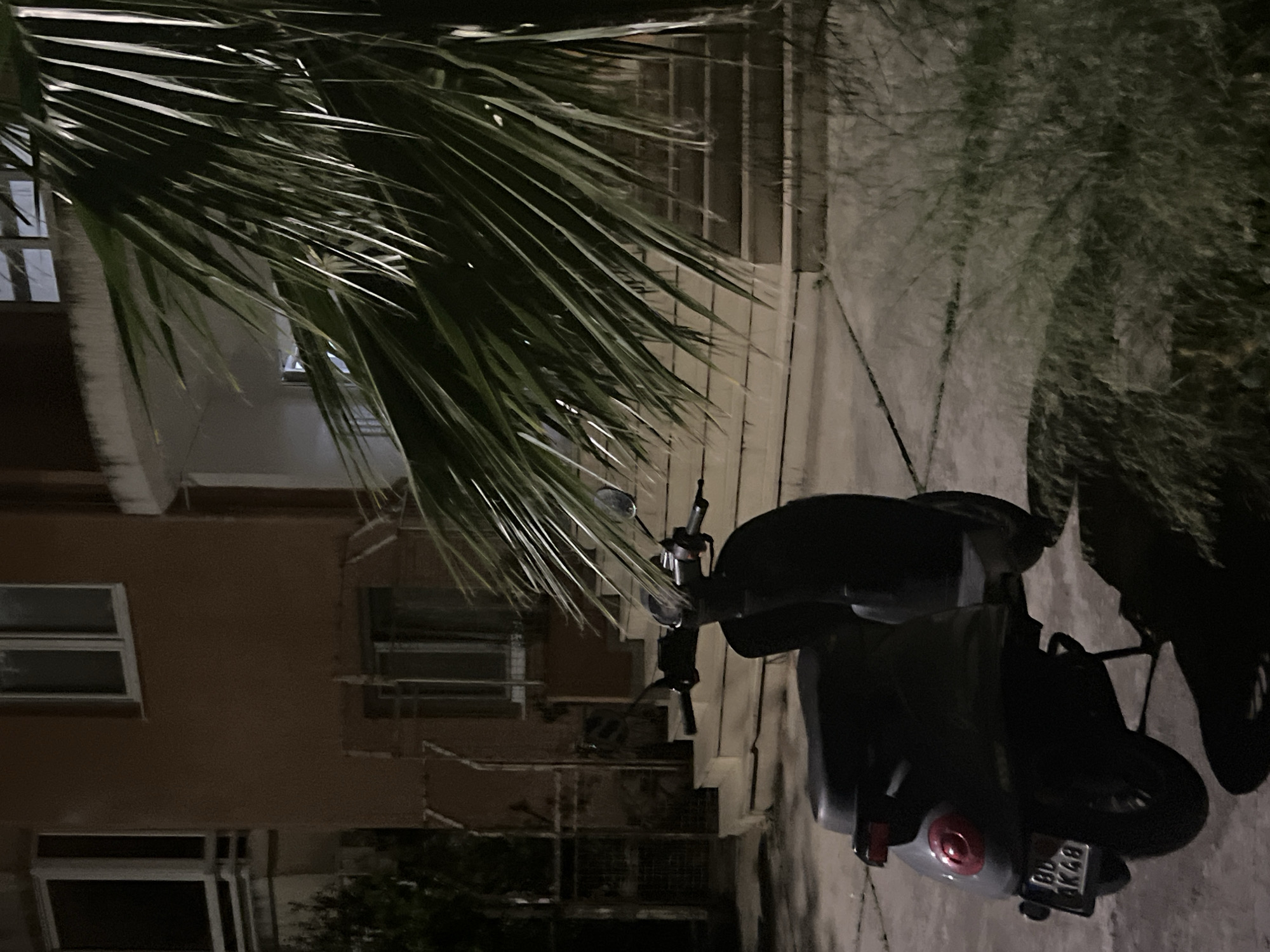 The image depicts a dark and partially obscured scene at night. A motor scooter is parked on a paved surface, possibly a sidewalk or street. The scooter's license plate is visible and reads "BU" followed by "K48". A building with windows is partially visible in the background, and its facade appears to be a reddish-brown color. Foliage, potentially from trees or bushes, is present on either side of the scooter, further obscuring the background. The presence of palm leaves suggests the area may be coastal. The image is taken in Budva, Montenegro.